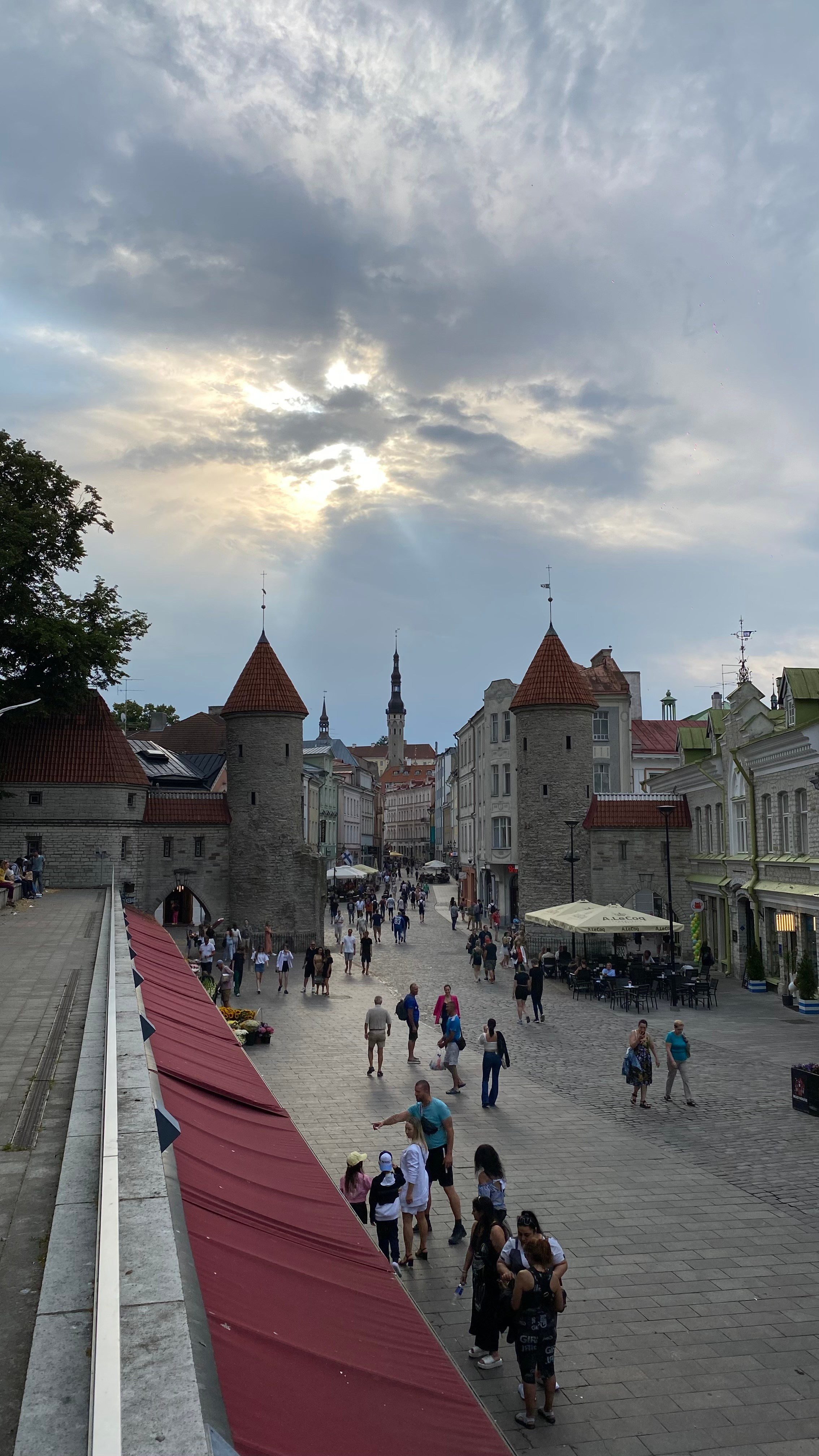 Whispers of Estonia. Photography | Videography | Marketing