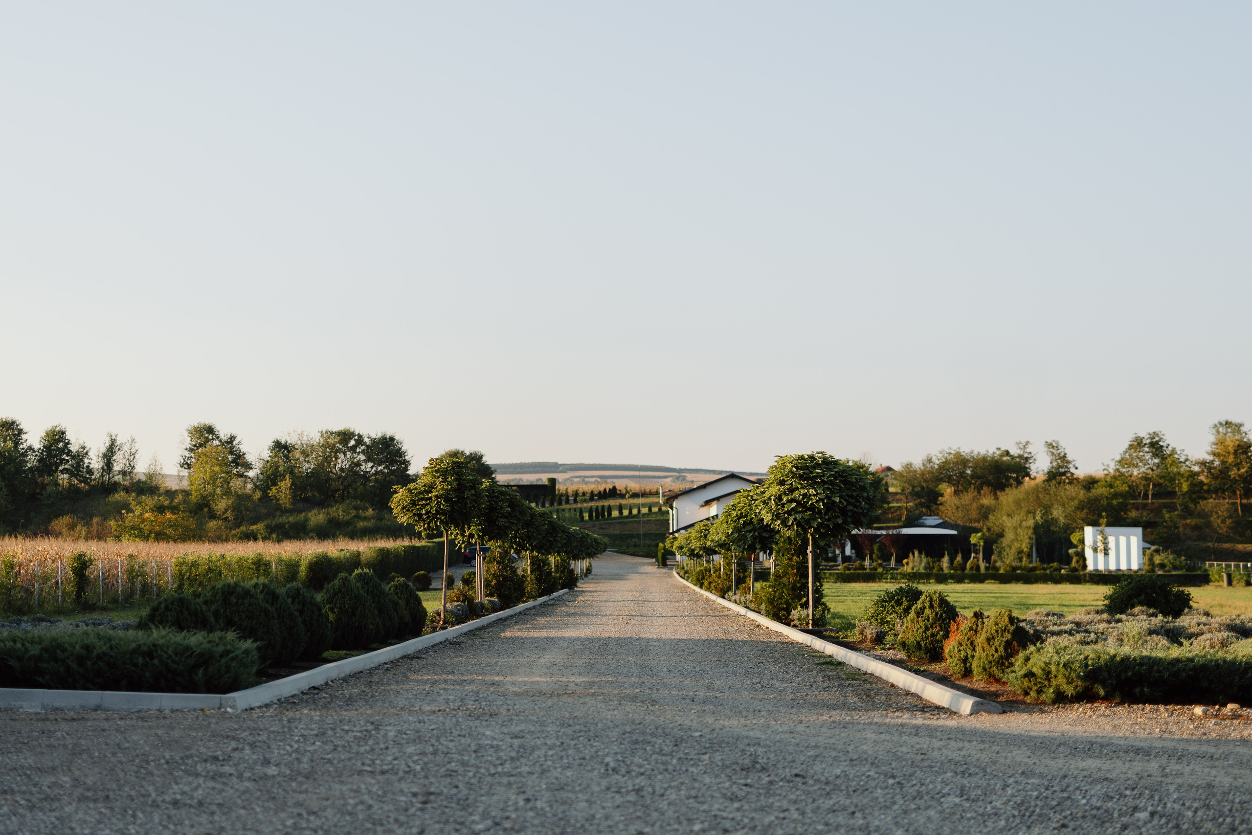 Iustin & Fabiana. Main