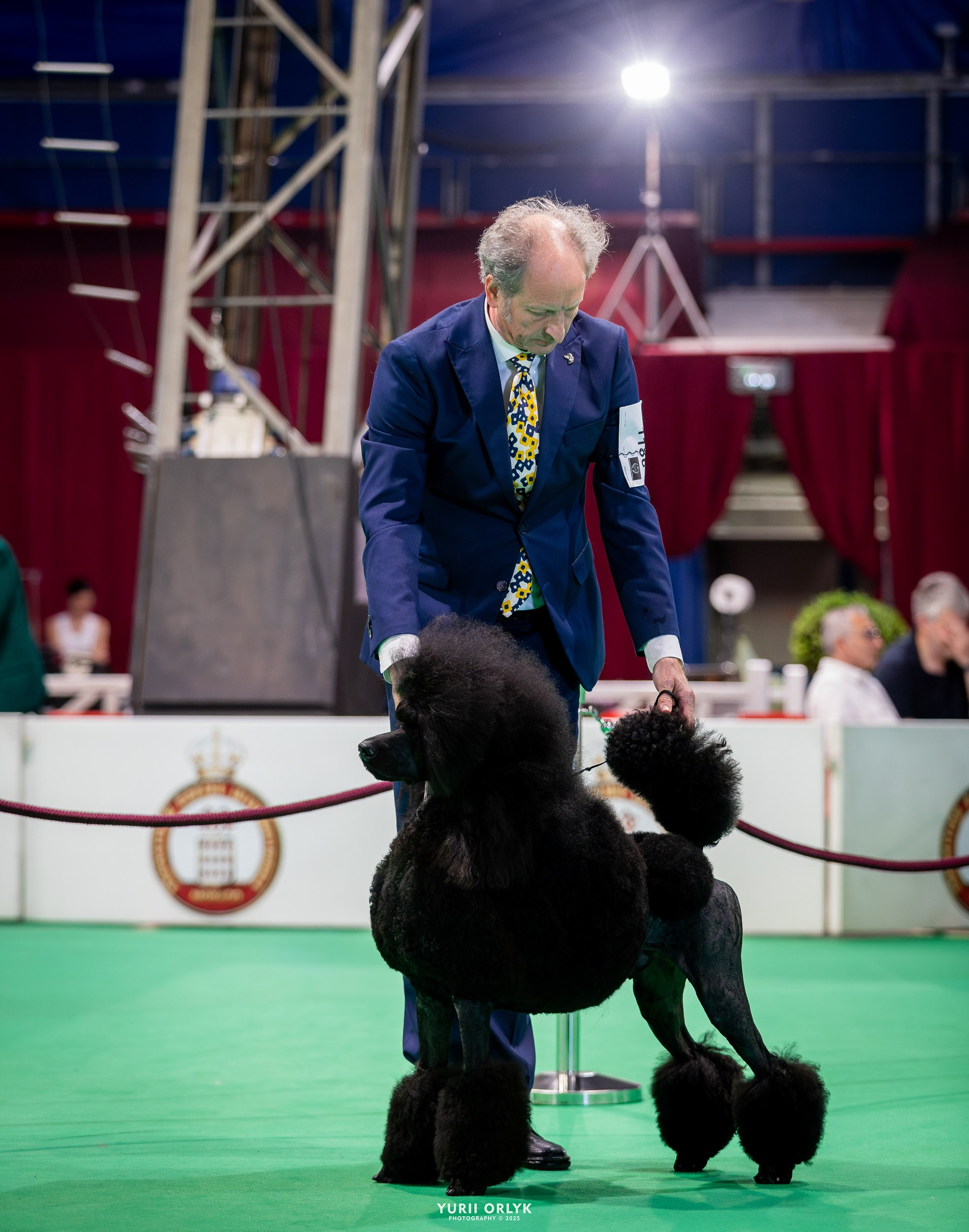 Dog Shows. Yurii Orlyk Photography