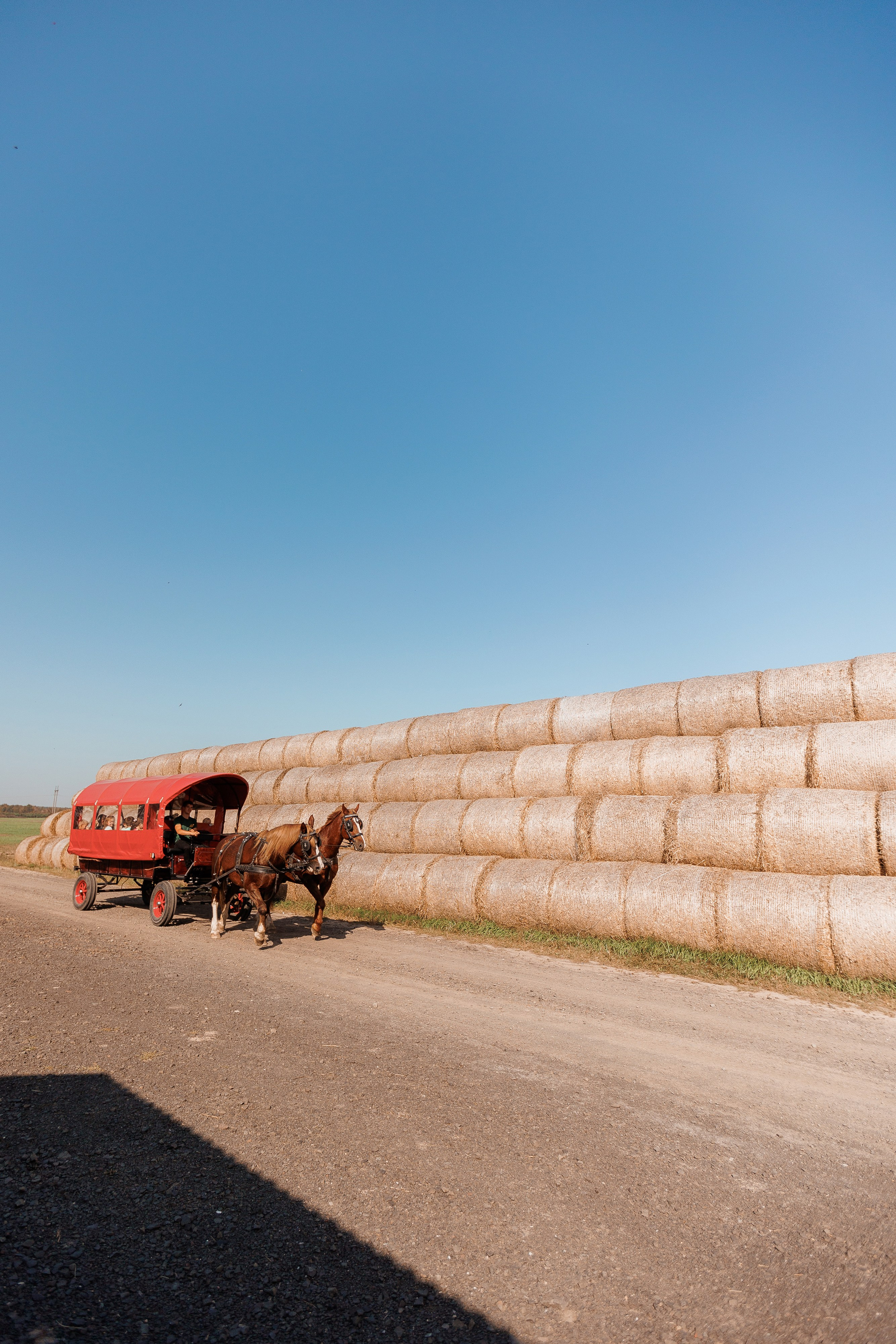 Екопарк Аміла. Ірина Терещук