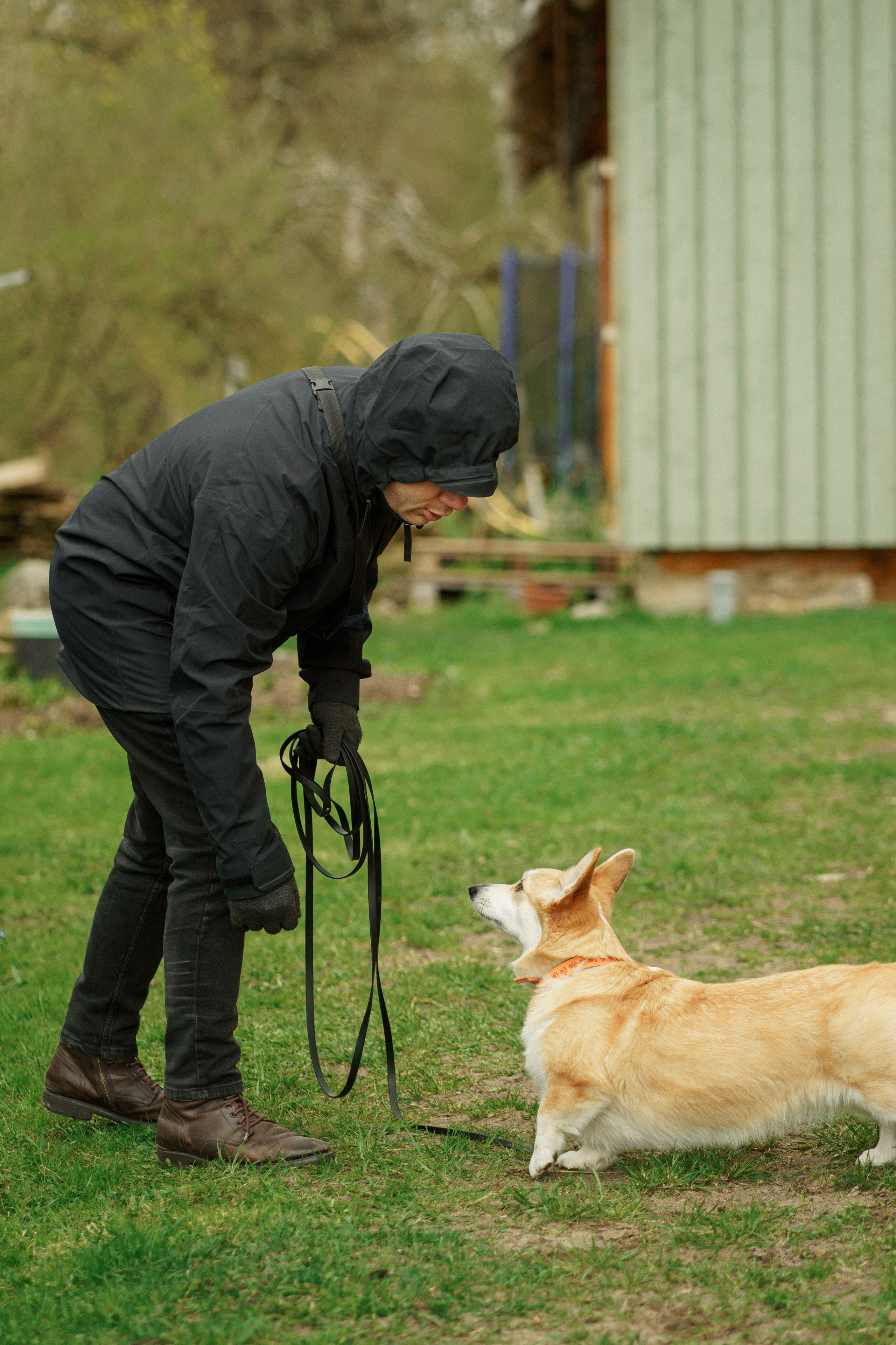 Herding Days, 26 apr. 2025. Kat Laisaar — Pet photographer in Tallinn