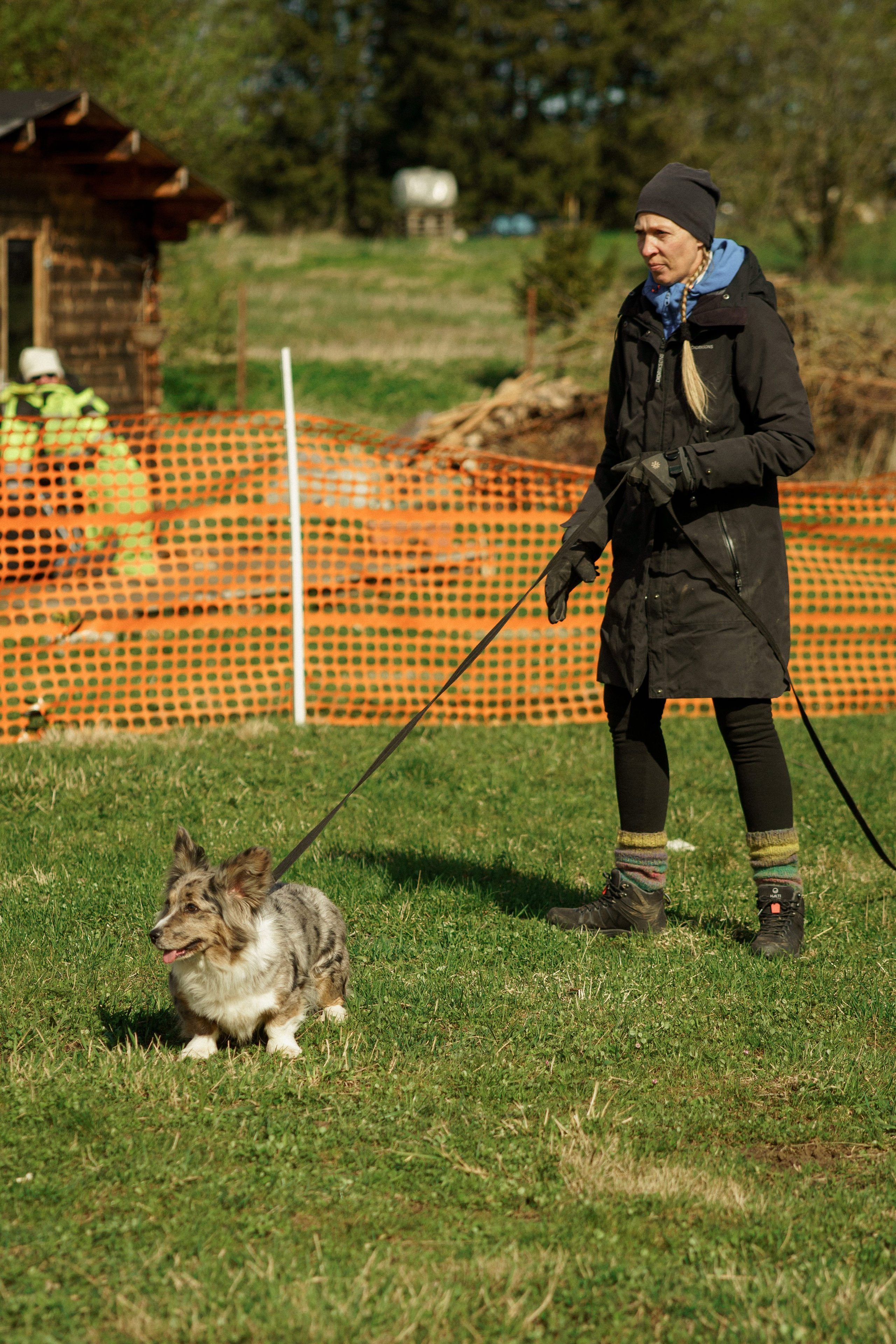 Herding Days, 26 apr. 2025. Kat Laisaar — Pet photographer in Tallinn