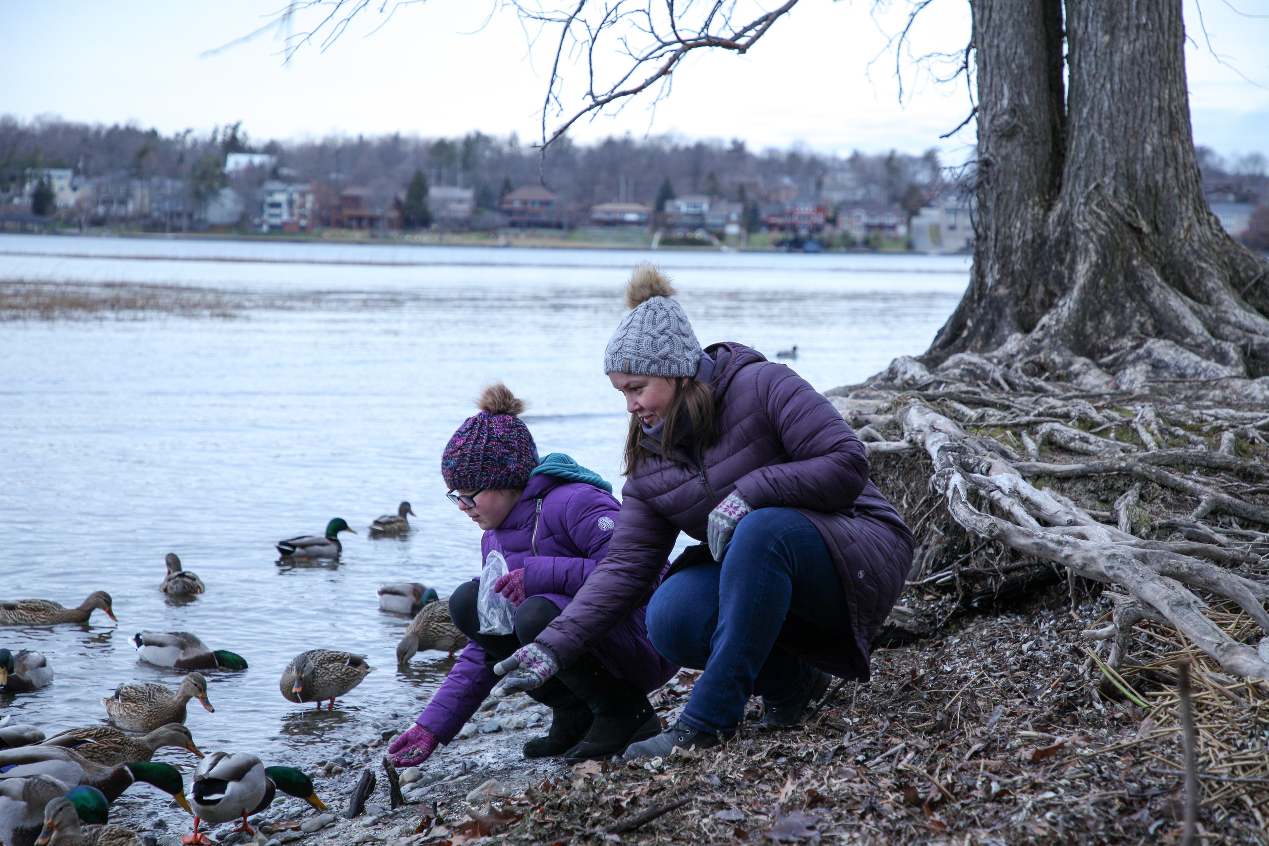 Family. Wedding, family, portrait and brands photography in Kingston, ON