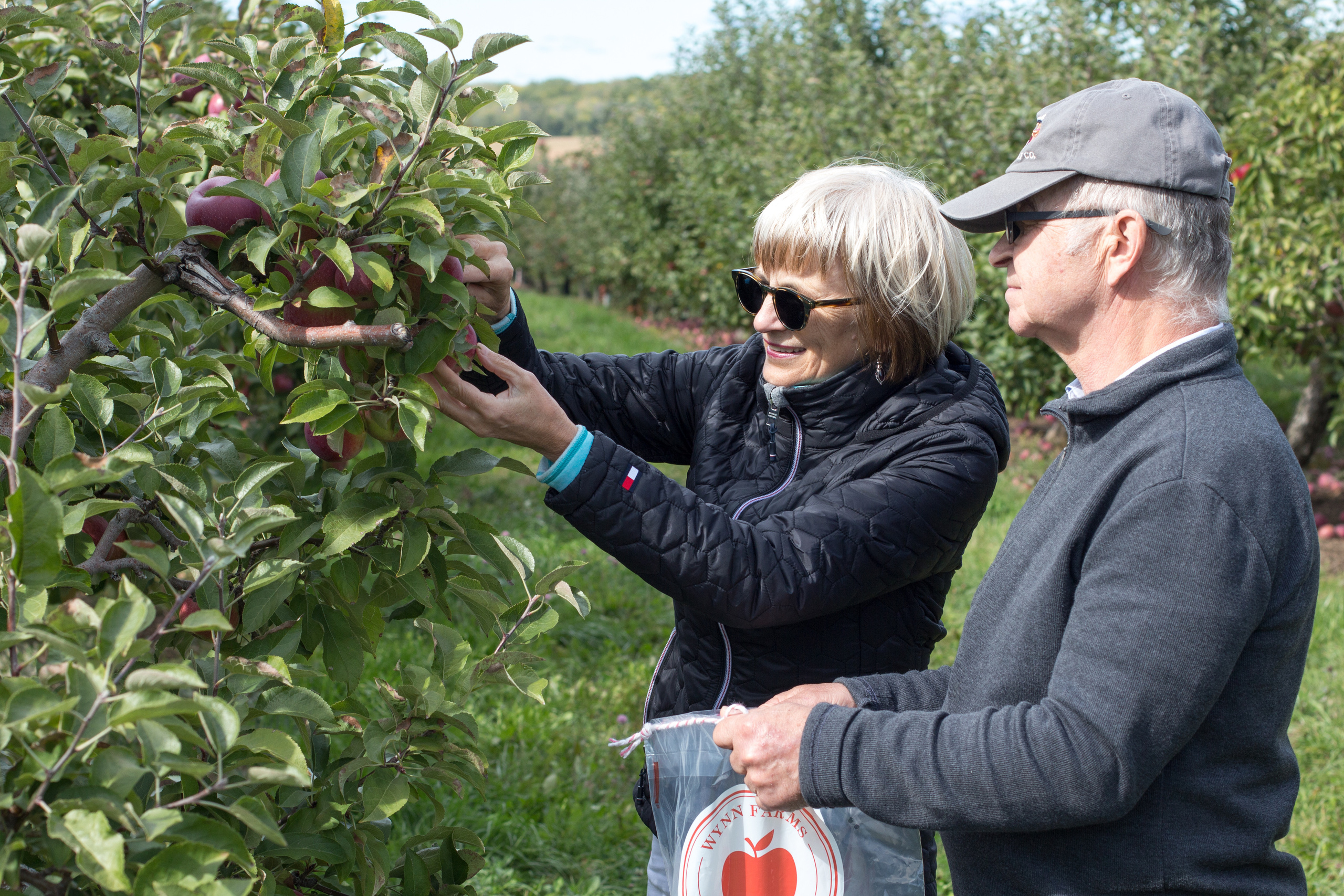 Family. Wedding, family, portrait and brands photography in Kingston, ON