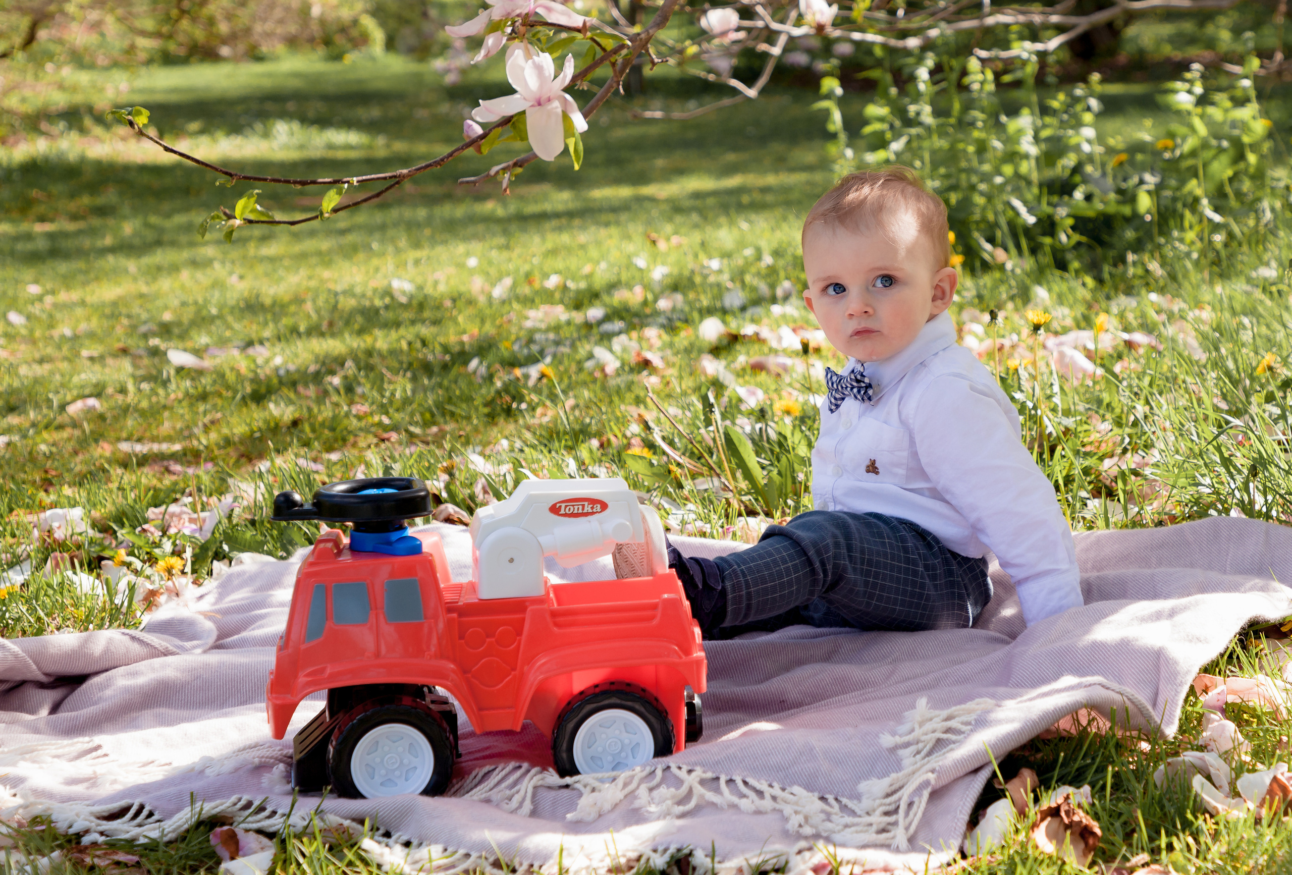 Family. Wedding, family, portrait and brands photography in Kingston, ON