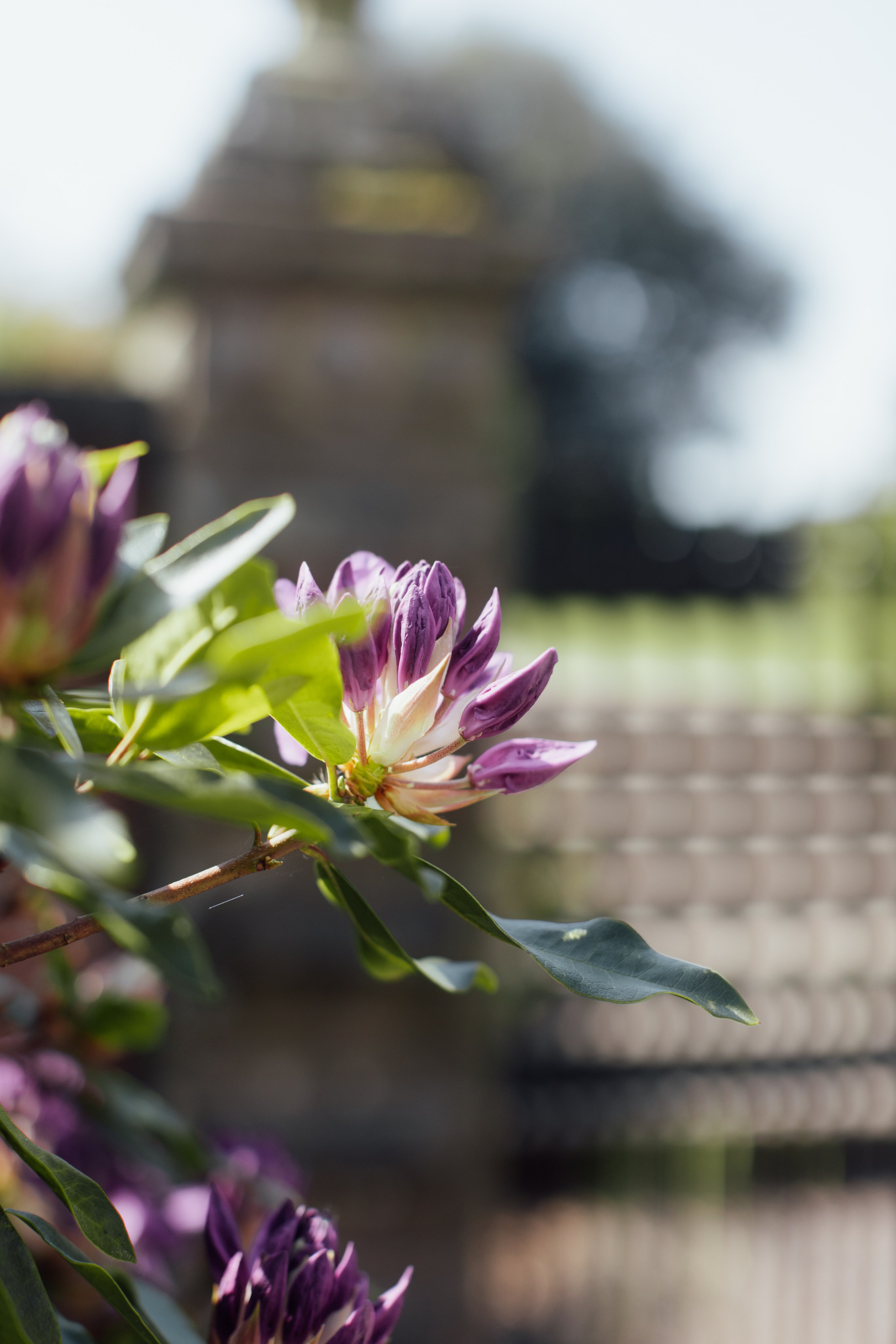 Arley Hall & Gardens, Northwich. 2025. Timeless Wedding & Events Photography. Based in London, working across Europe
