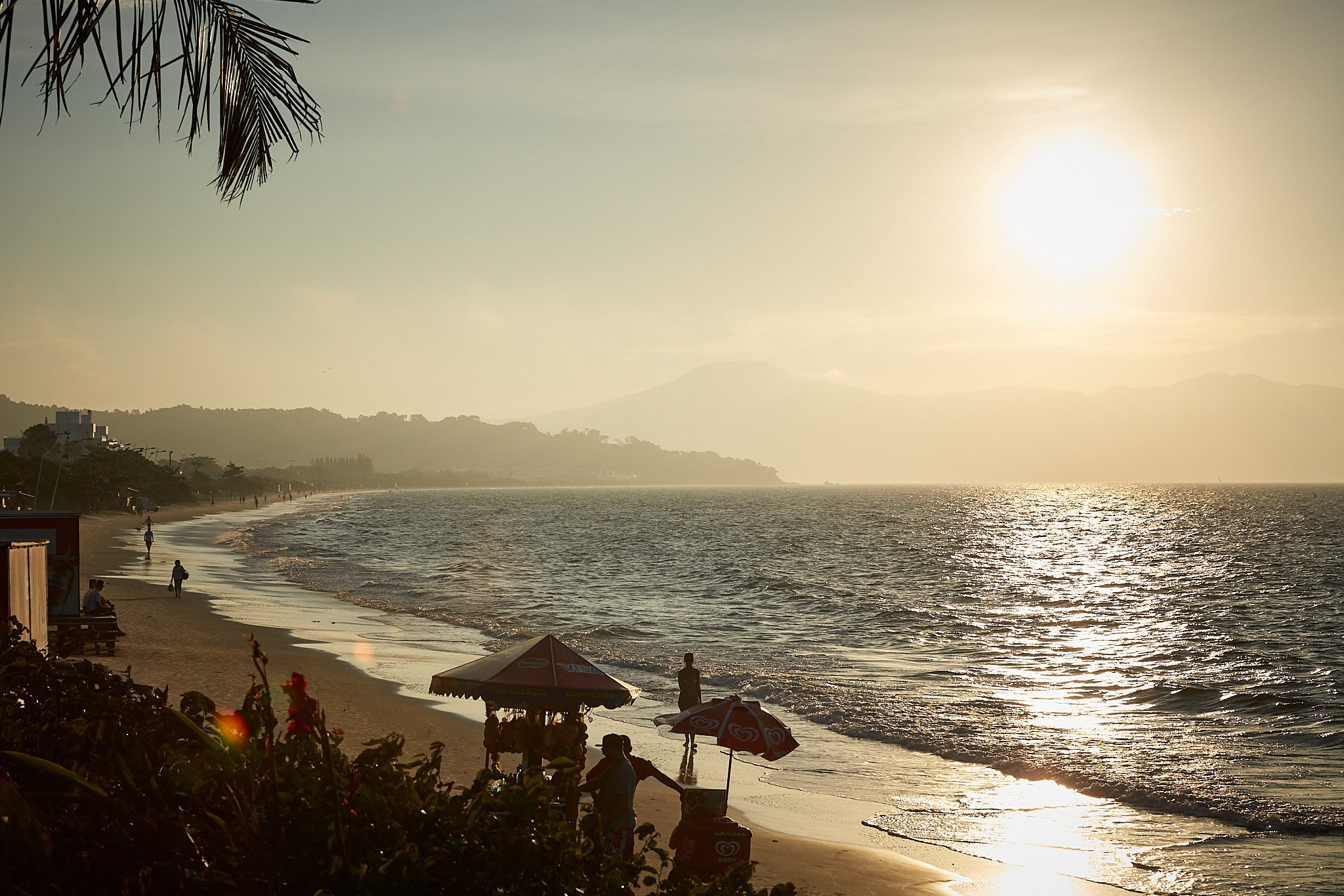 Casamento Laís e Alexandre. Fotógrafo de casamentos em Florianópolis