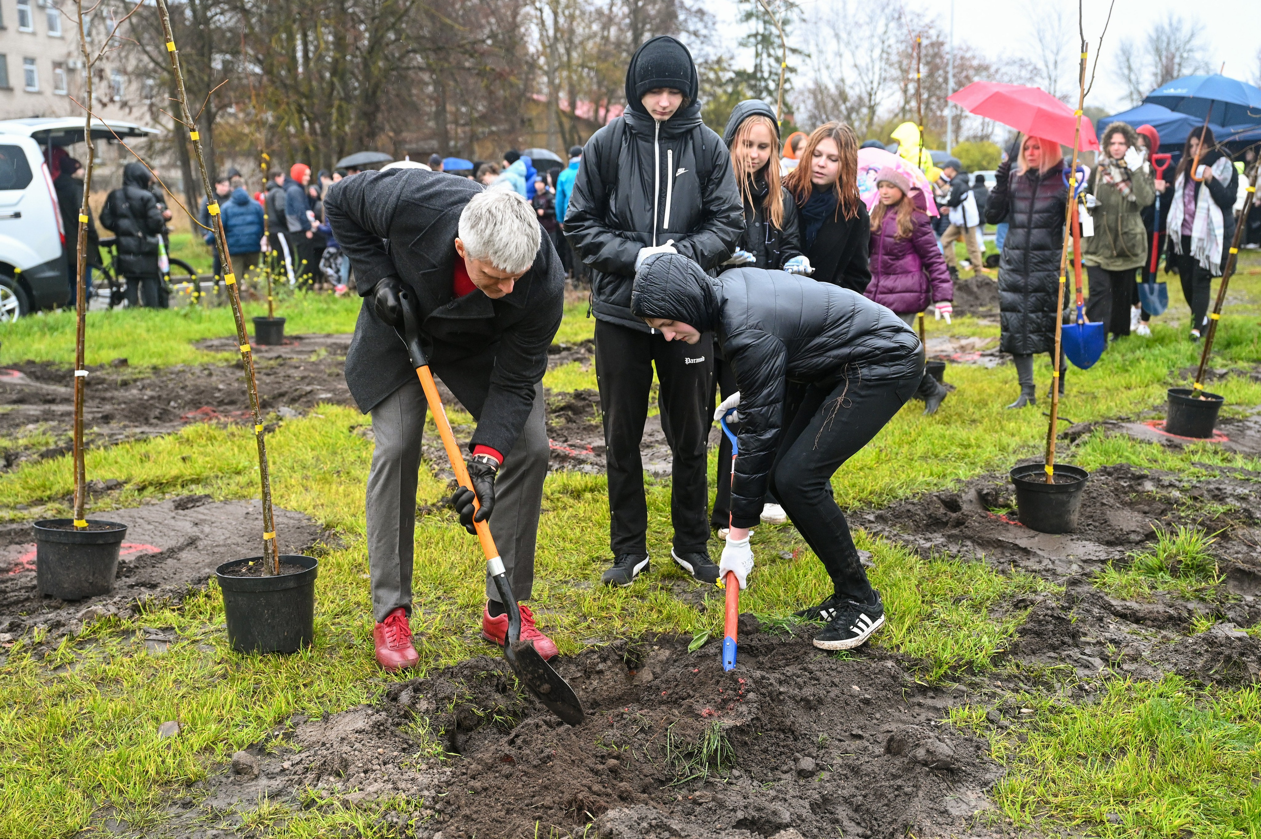 Koku stādīšana Rēzekne stacijas iela. Ritvars Pujats Emotion Photographer