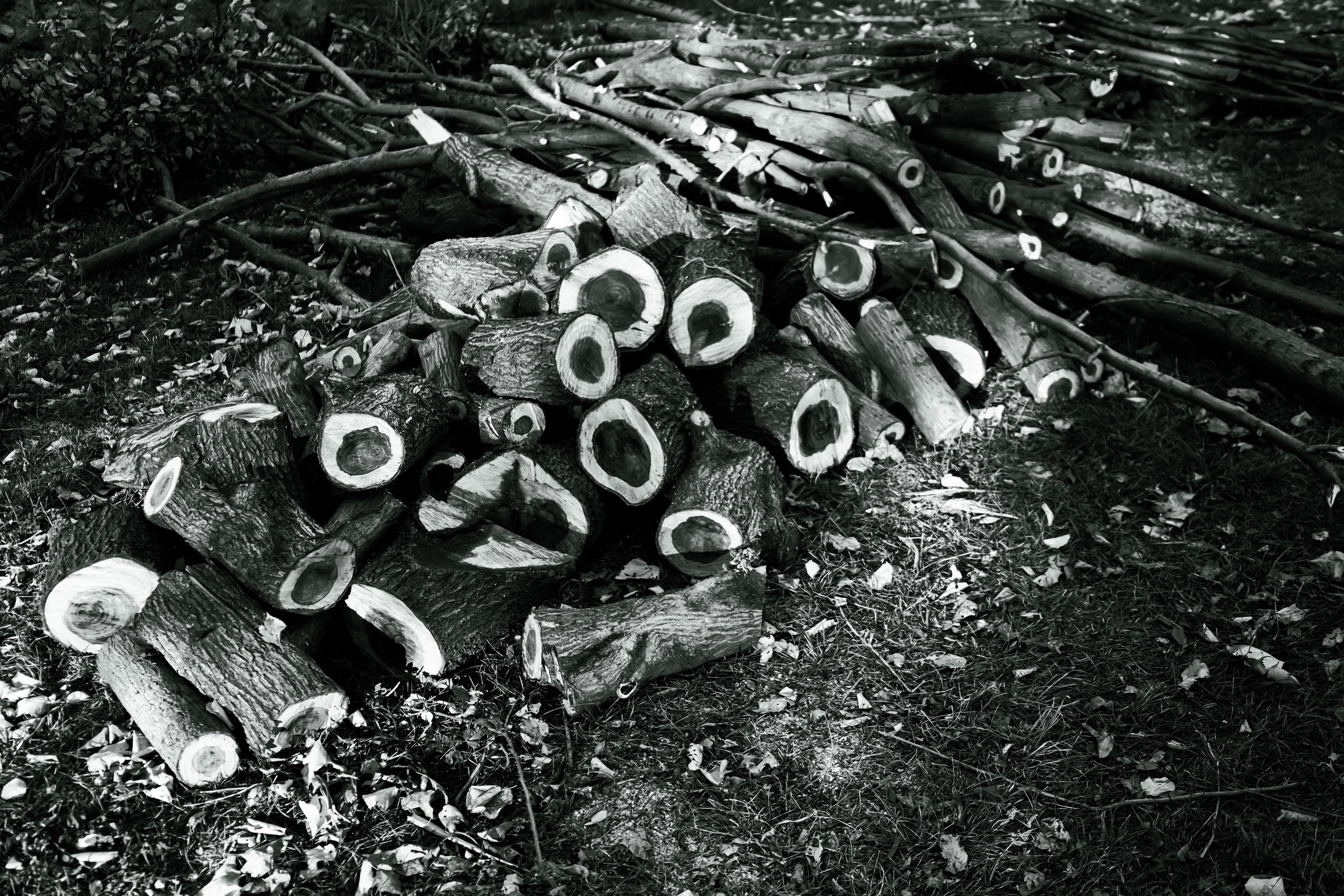 Factory reportage (hand-crafted cider). Asmikiam