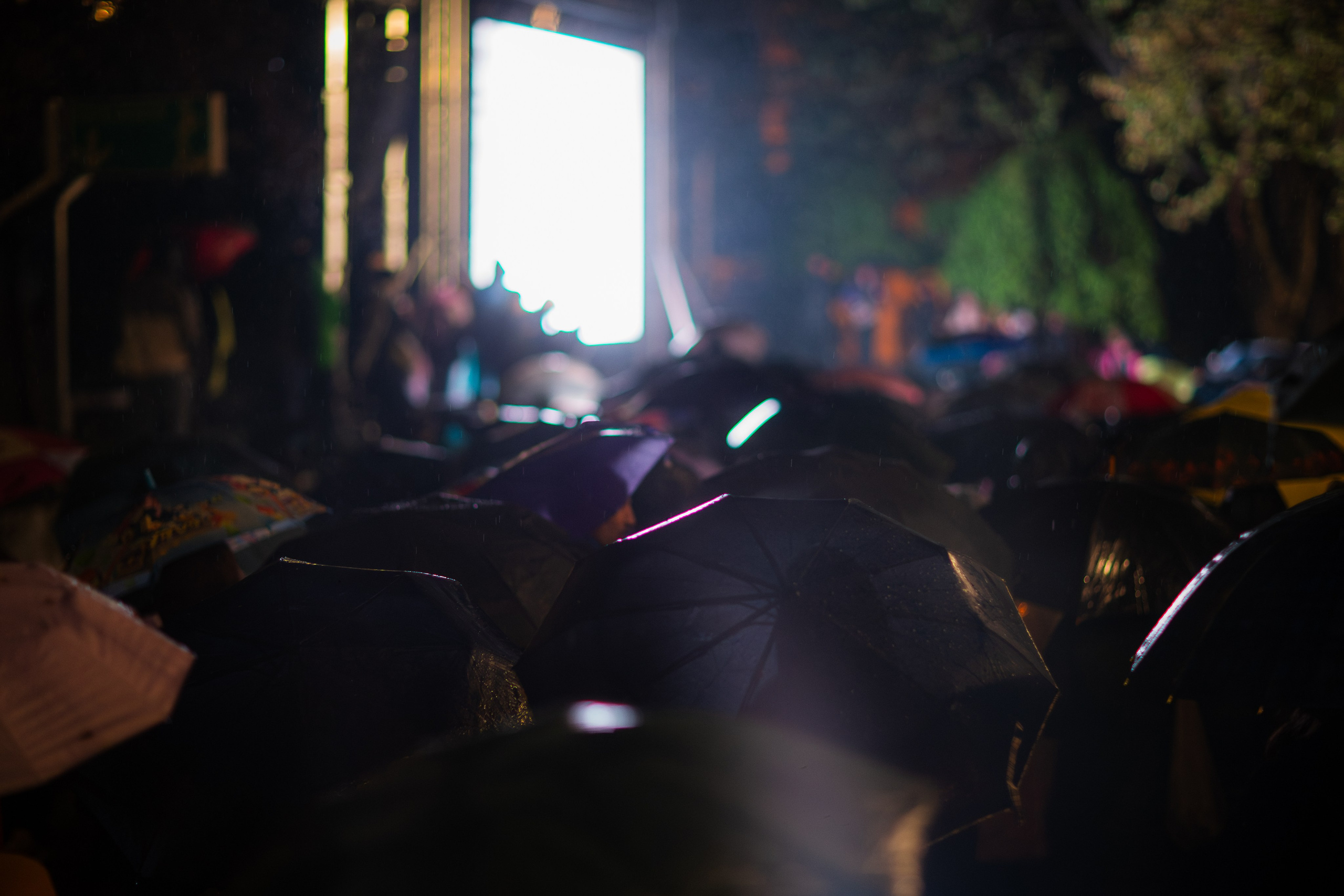 April 9: Memory, Rain, and Resistance. Ilya Vaga