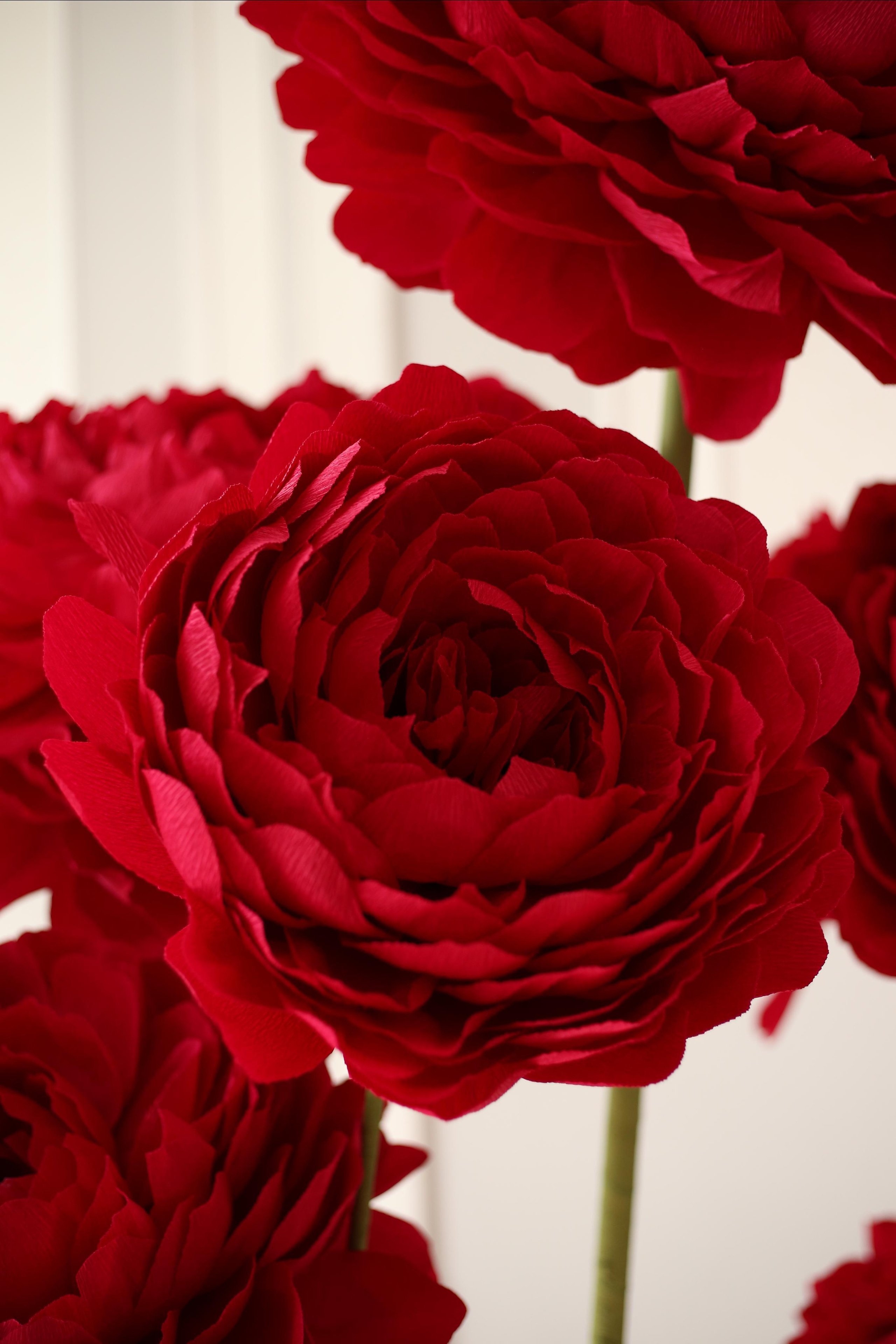 Fotosessijam. Fotostudijam. Event design, decoration, floristry, gift, Irina Novika, Riga, Latvia