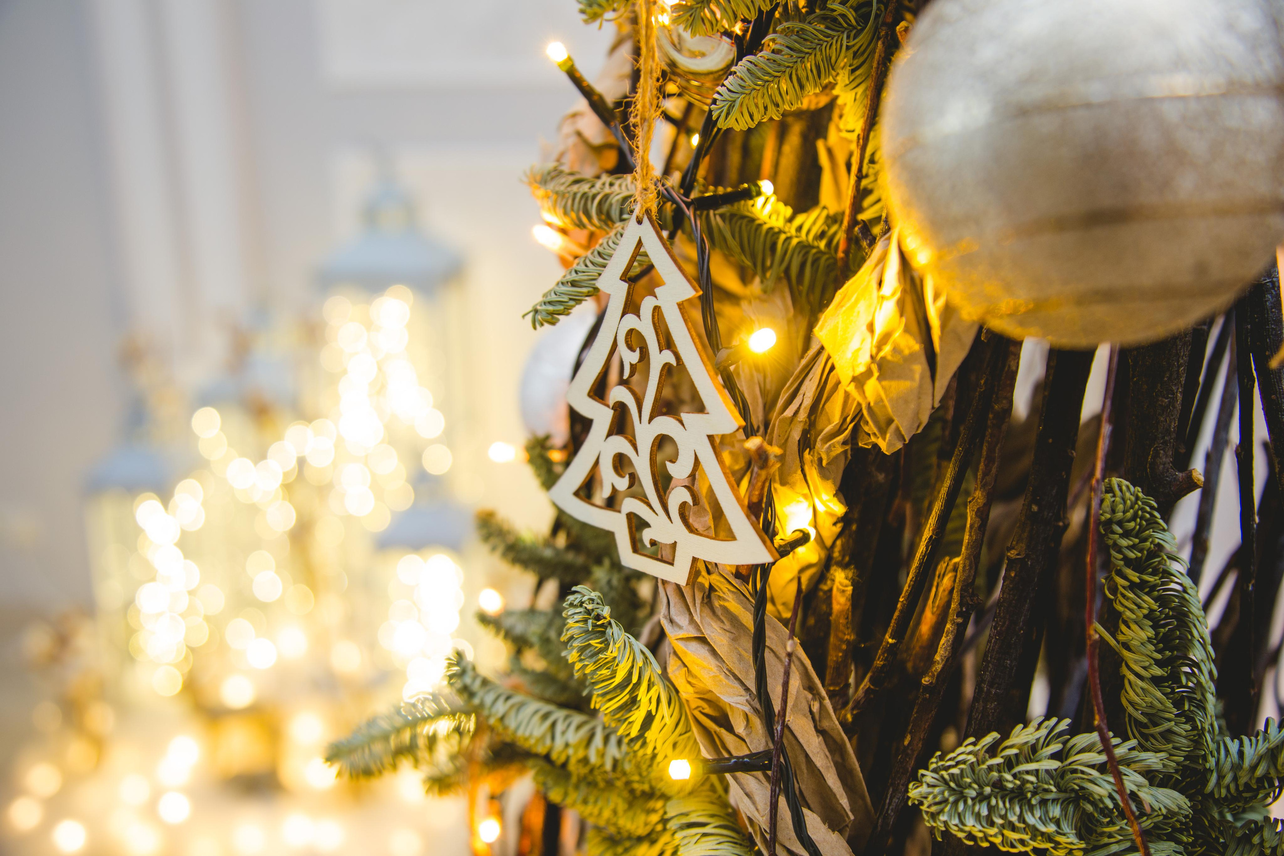 Fotosessijam. Fotostudijam. Event design, decoration, floristry, gift, Irina Novika, Riga, Latvia