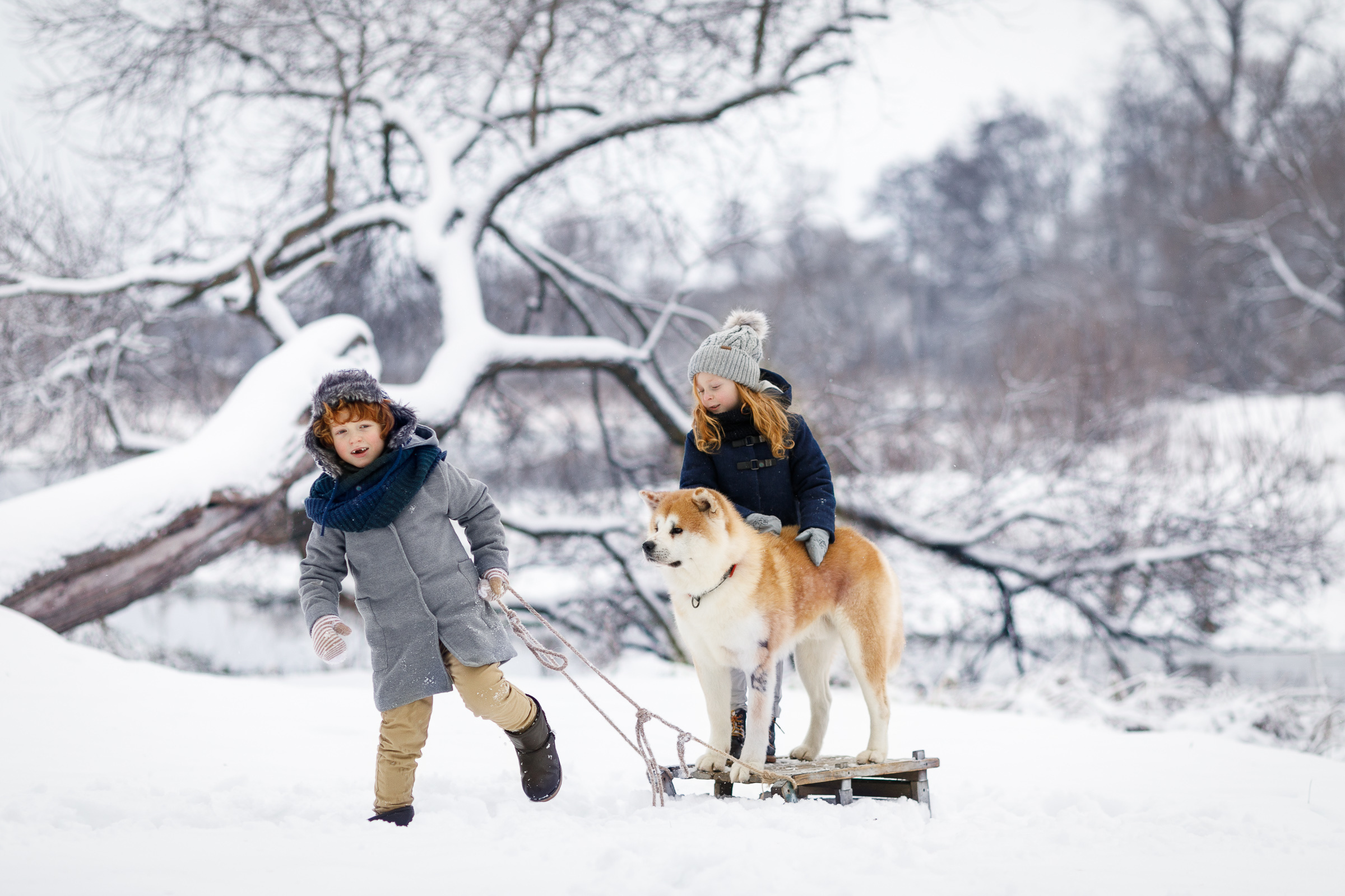 Family and kids photography. Photographer in Wroclaw Katerina Kouzmitcheva
