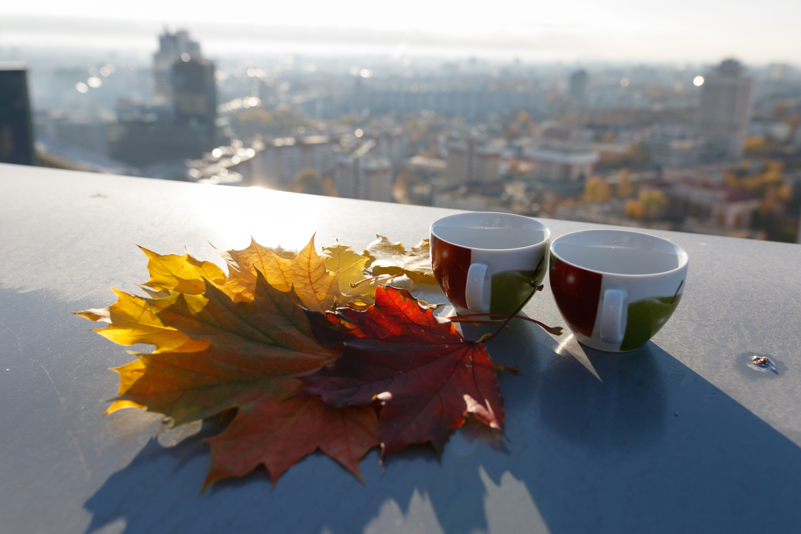 Lovestory photography. Fotograf in Wroclaw Katarzyna Kuzmiczewa