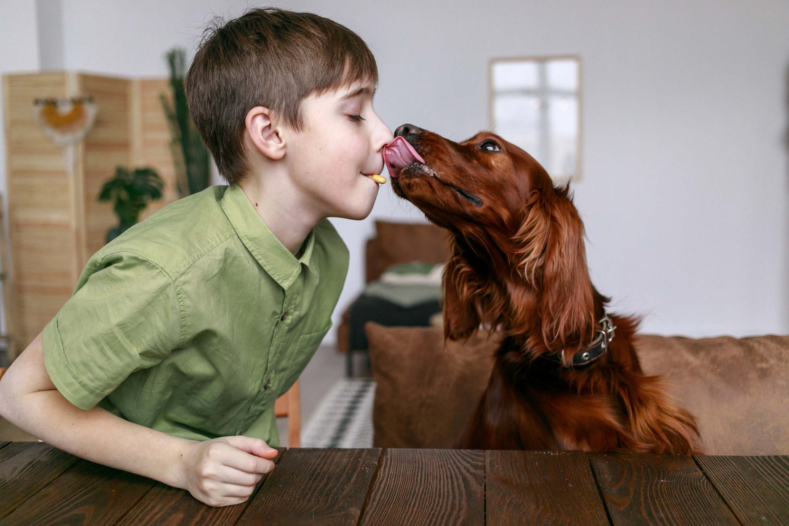 Family and kids photography. Photographer in Wroclaw Katerina Kouzmitcheva