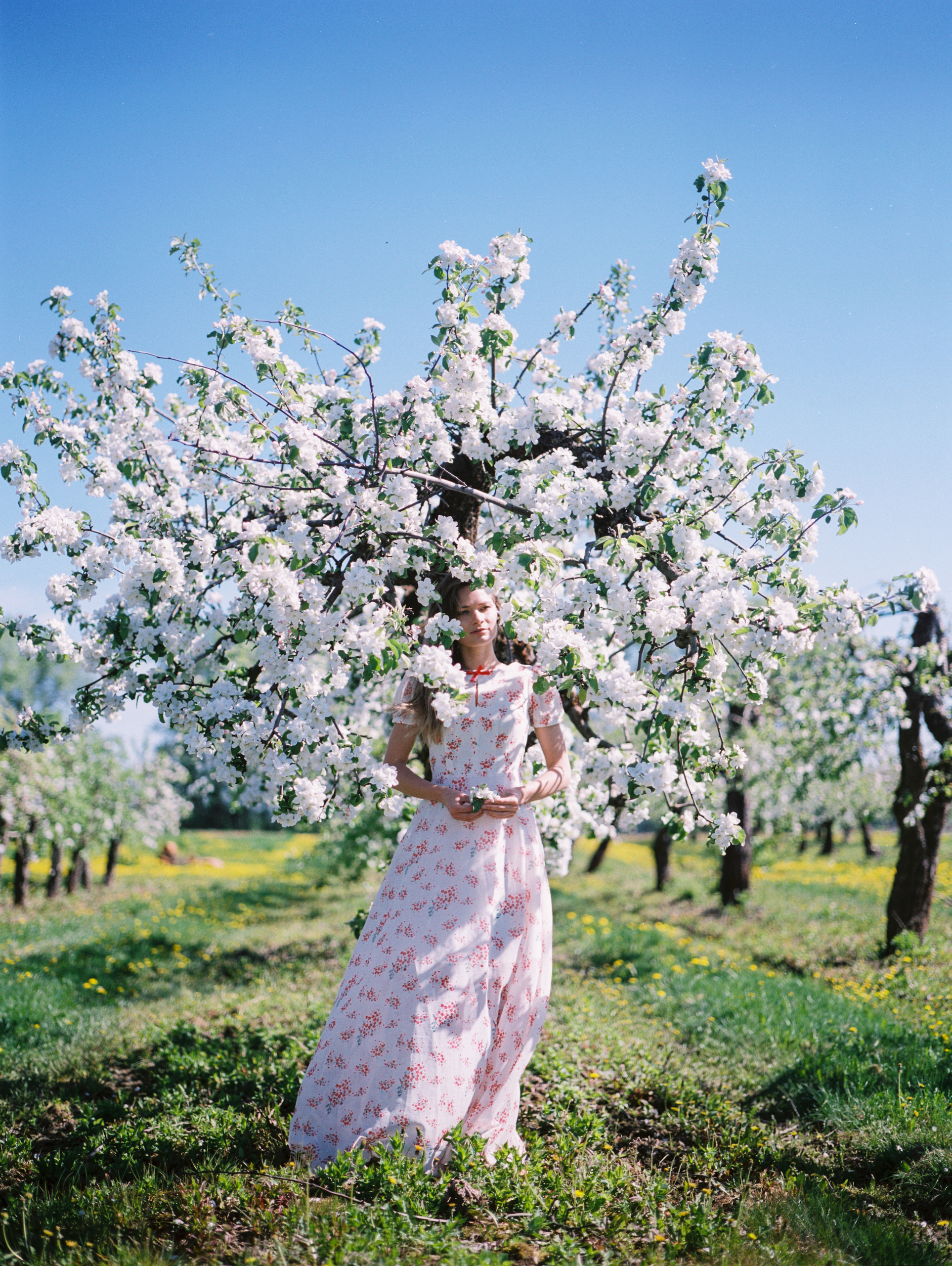 Portrait, individual photography. Photographer in Wroclaw
