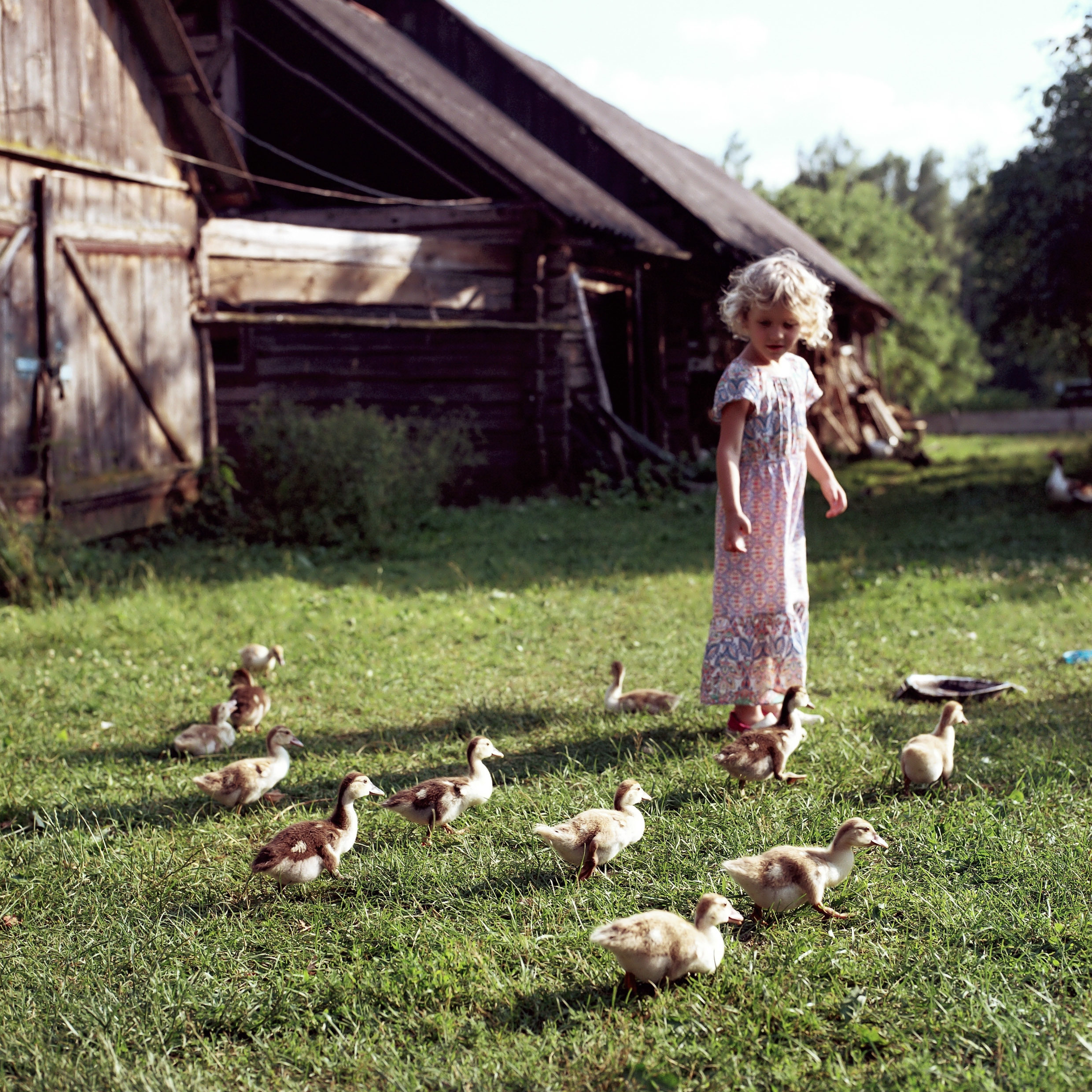 Family and kids photography. Photographer in Wroclaw Katerina Kouzmitcheva