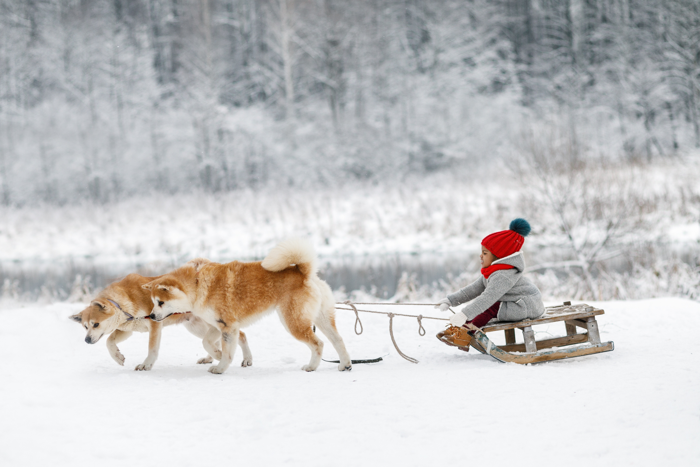 Family and kids photography. Photographer in Wroclaw Katerina Kouzmitcheva