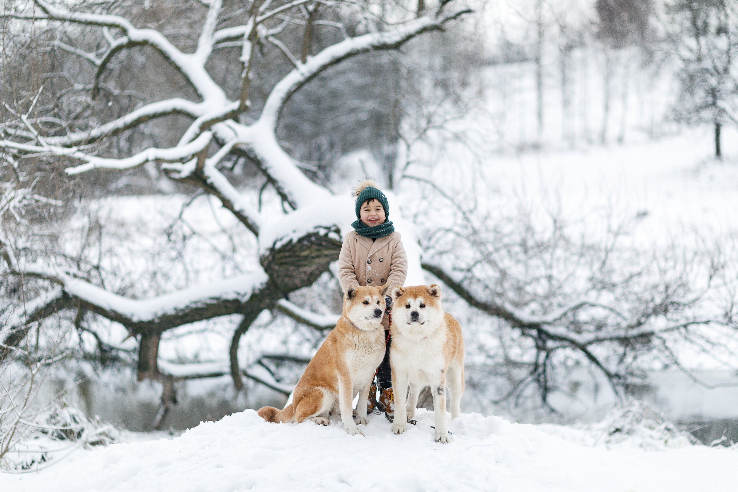 Family and kids photography. Photographer in Wroclaw Katerina Kouzmitcheva