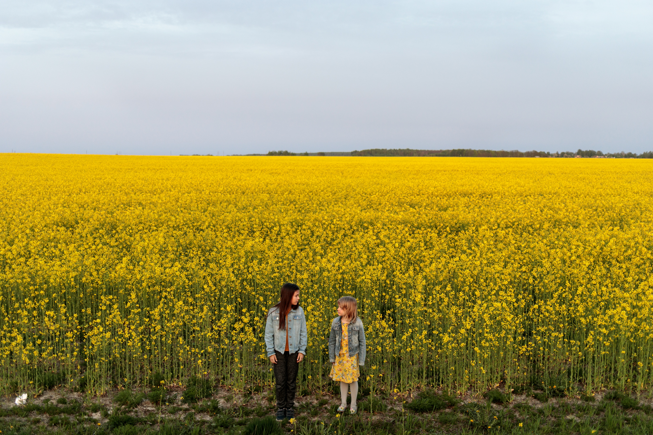 Family and kids photography. Photographer in Wroclaw Katerina Kouzmitcheva