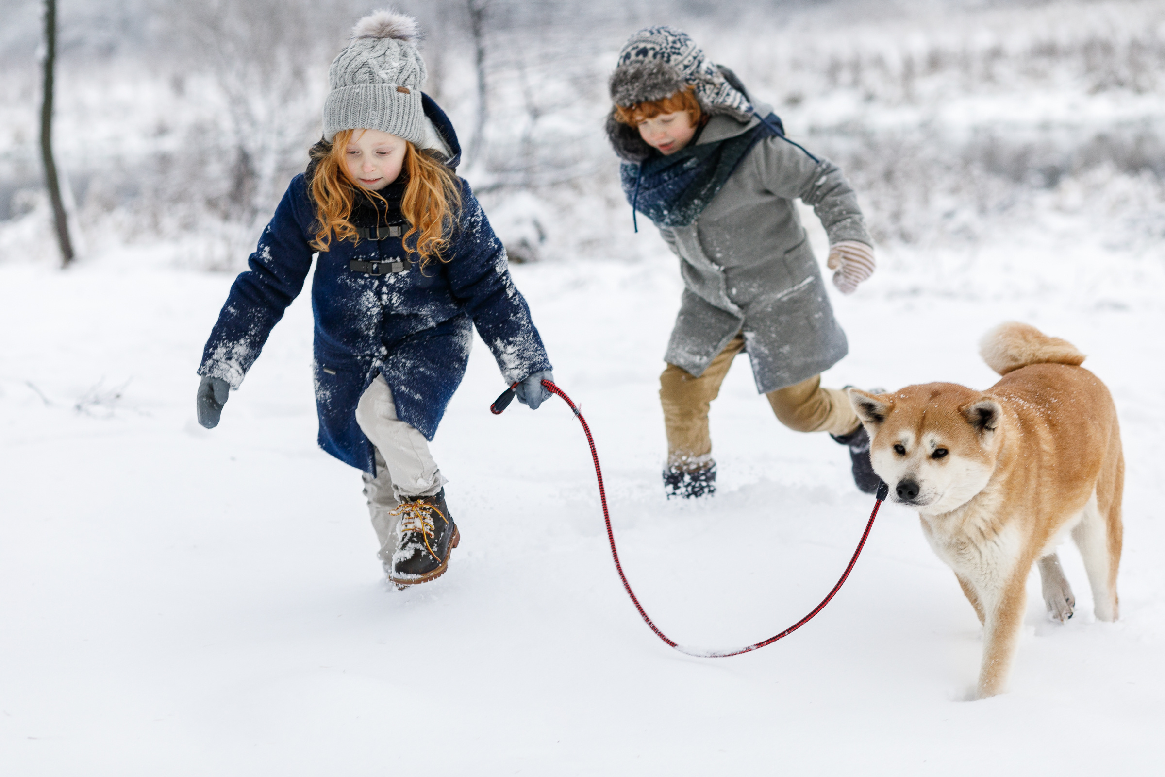Family and kids photography. Photographer in Wroclaw Katerina Kouzmitcheva