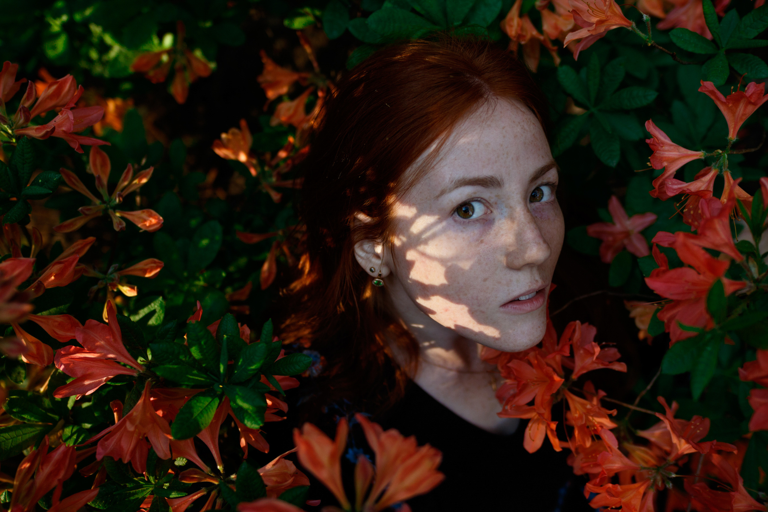 Portrait, individual photography. Photographer in Wroclaw