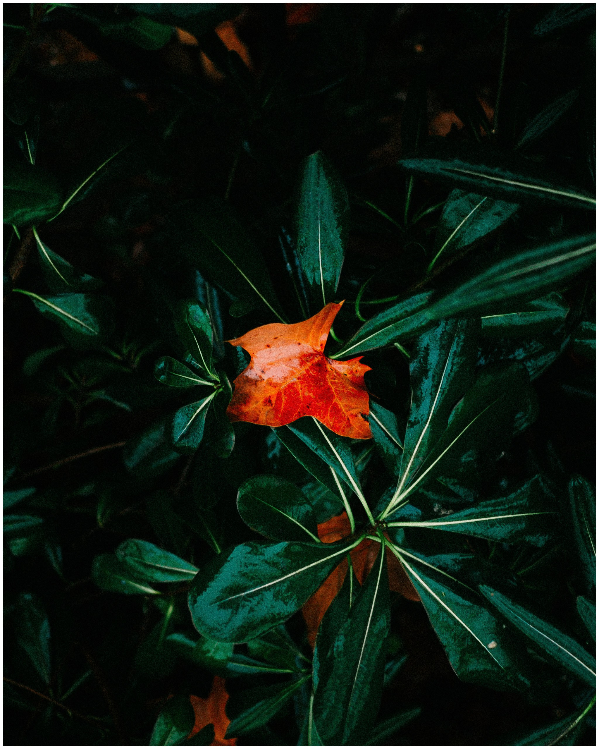 BARCELONA. Inna Mendelson — Photographer