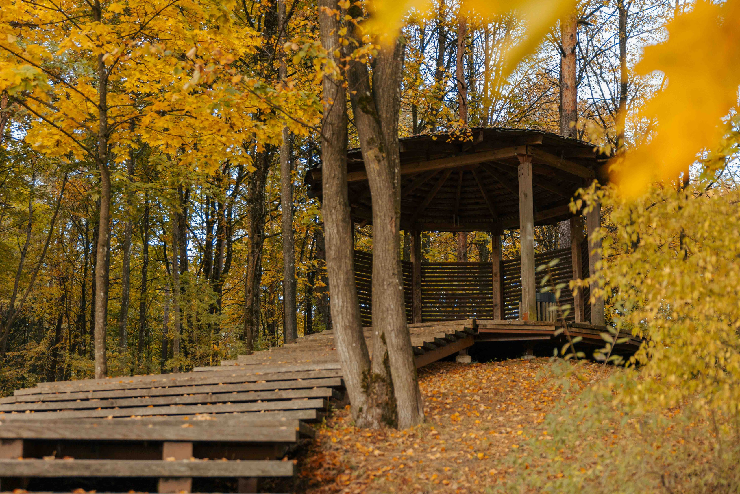 Best Autumn Photoshoot Locations in Vilnius: Top Spots to Capture the Fall Colors. Framed by Evelina | Destination Wedding Photographer from Lithuania | Europe