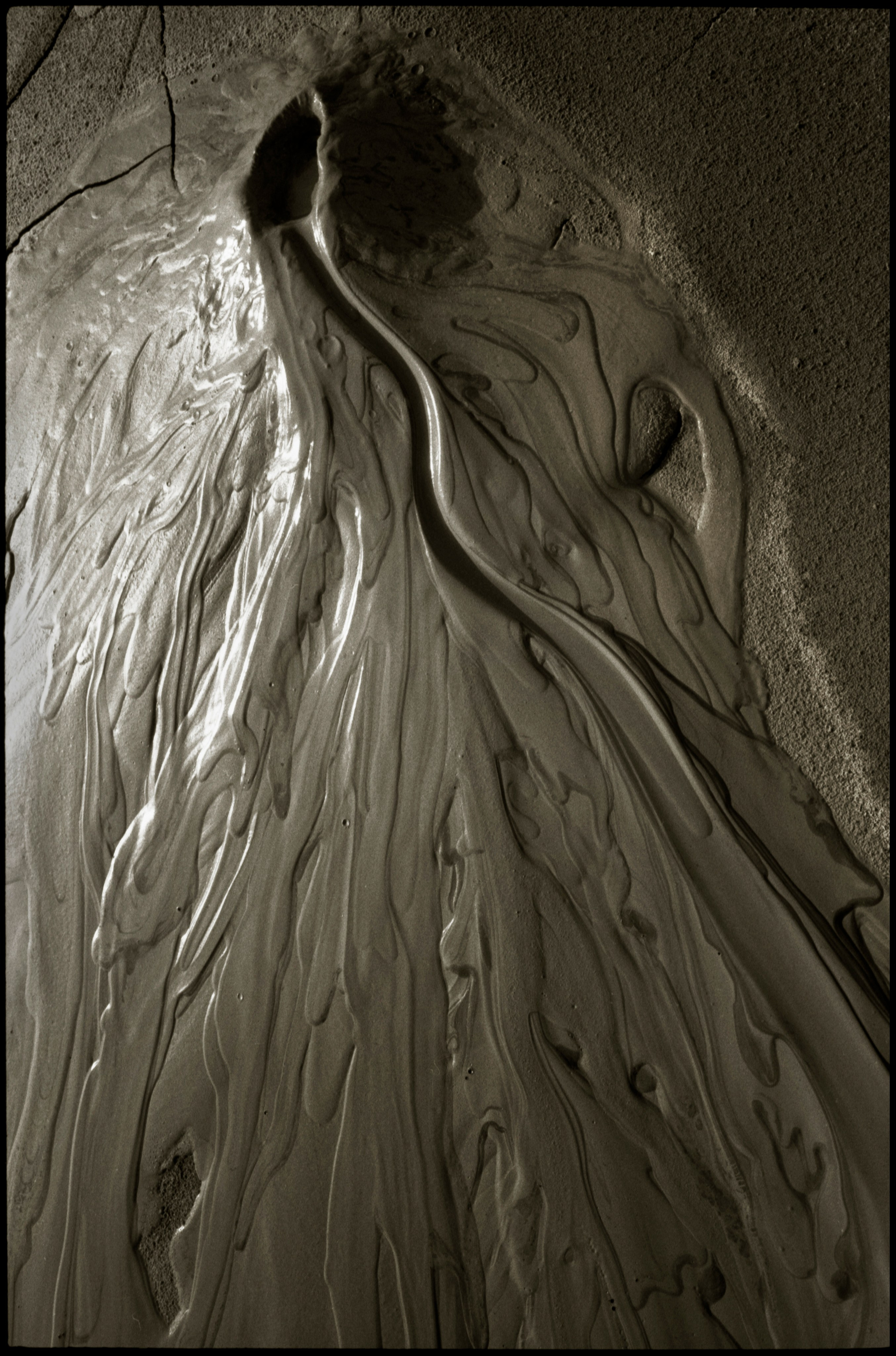 NATURE. Www.sananaleskerov.com