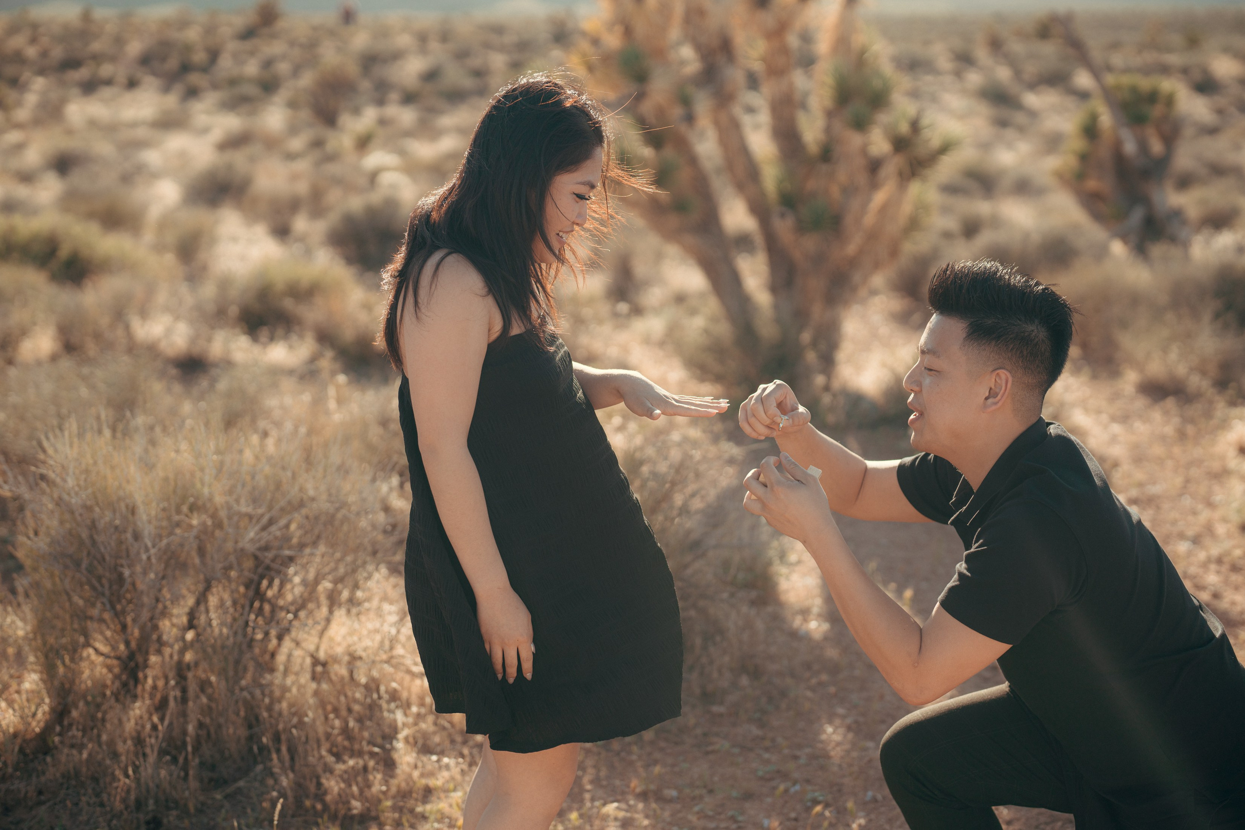 Brian&Christina. Marriage Proposal. Wedding & elopement photographer Viktoriya Kravtsov. Las Vegas