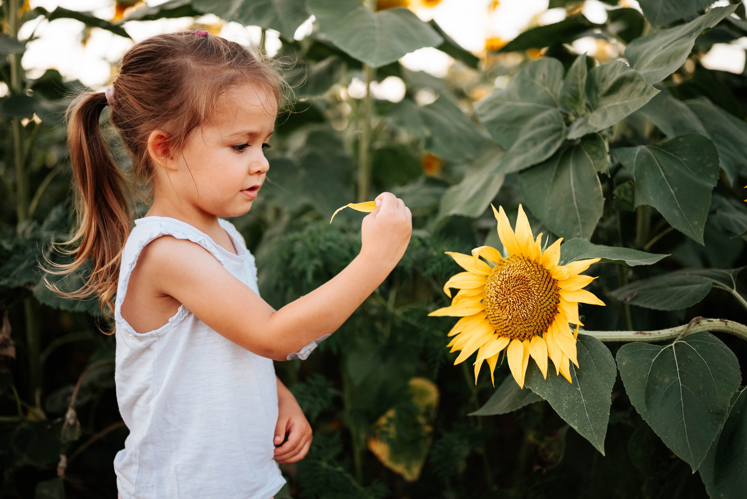 Višnja, Iskra, Maja i Stevan - porodično fotografisanje. Dečiji i porodični fotograf