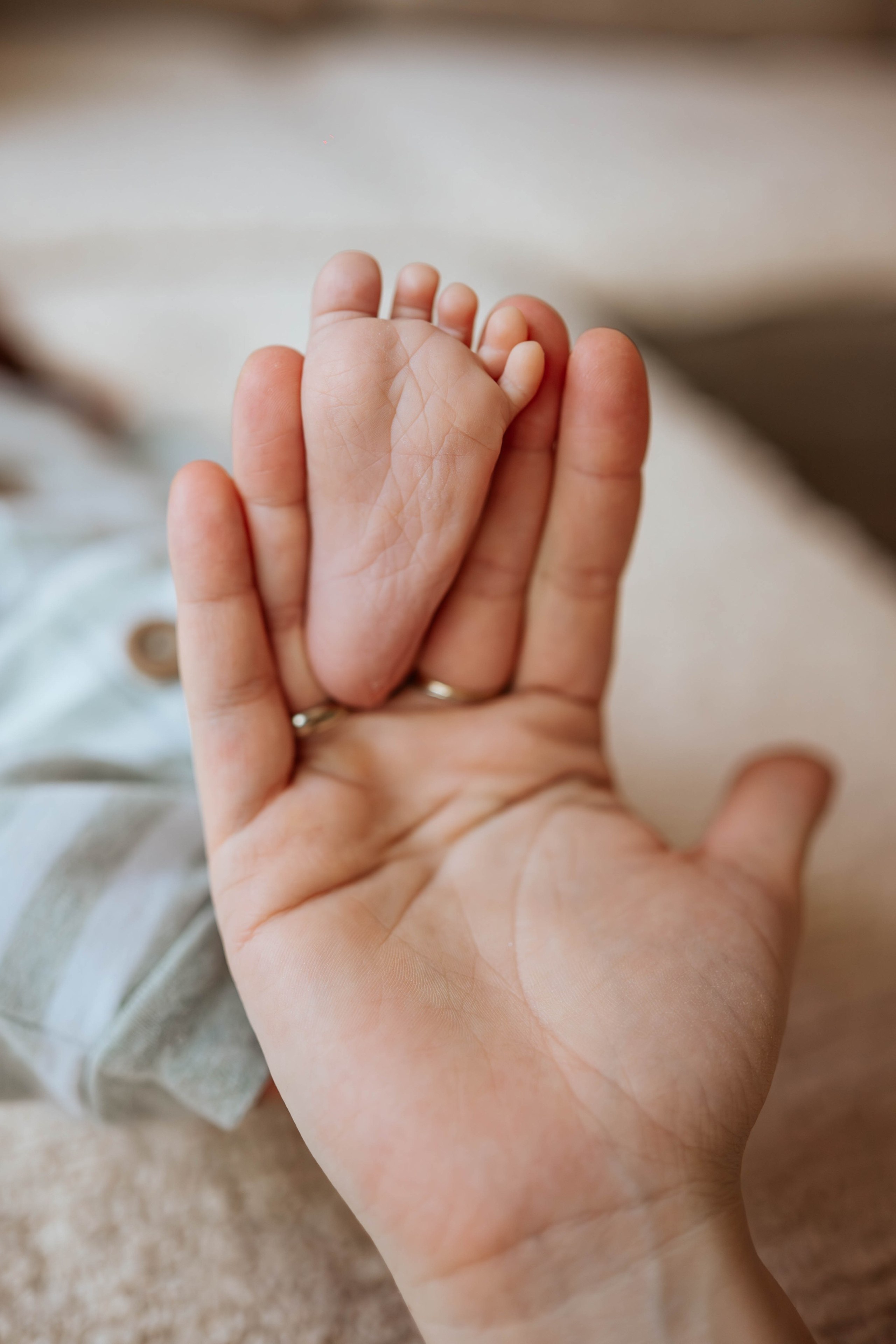 Bojan, Marija, Mihajlo, Viktor i Aleksa - porodično fotografisanje. Dečiji i porodični fotograf