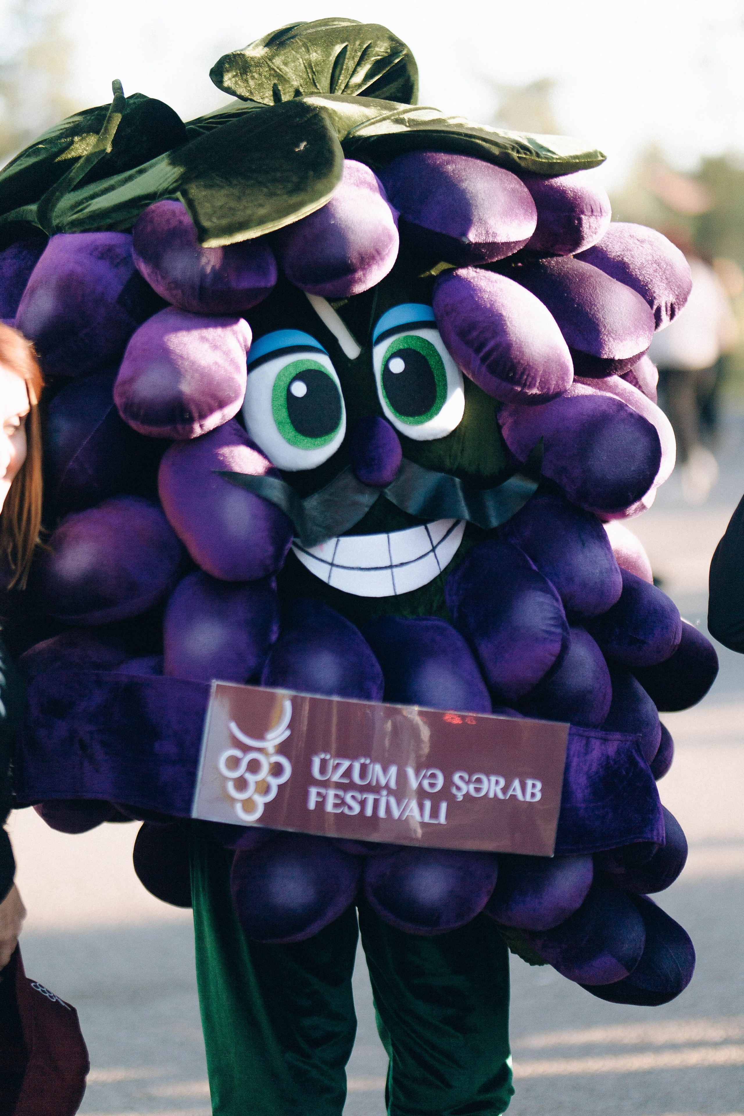 MEYSARI WINE FESTIVAL. Wedding&Event photographer Ismail Rzayev in Baku