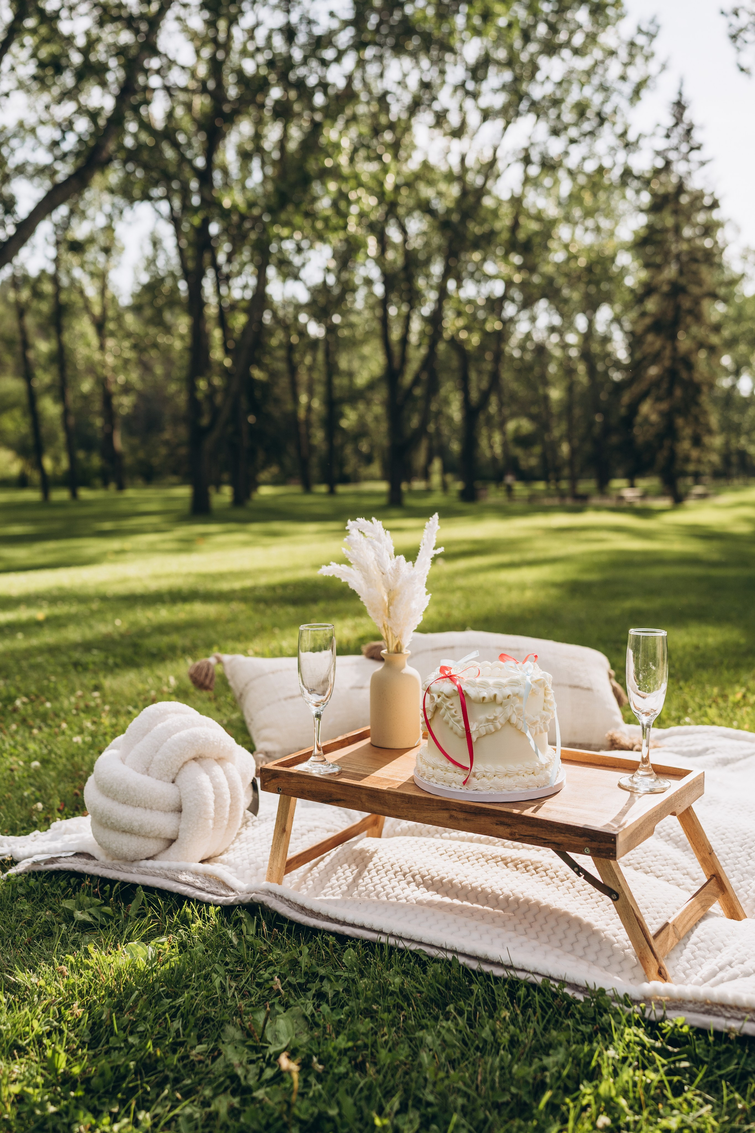 Gender reveal. Calgary Wedding & Lifestyle Photographer — Yevhen Polishchuk