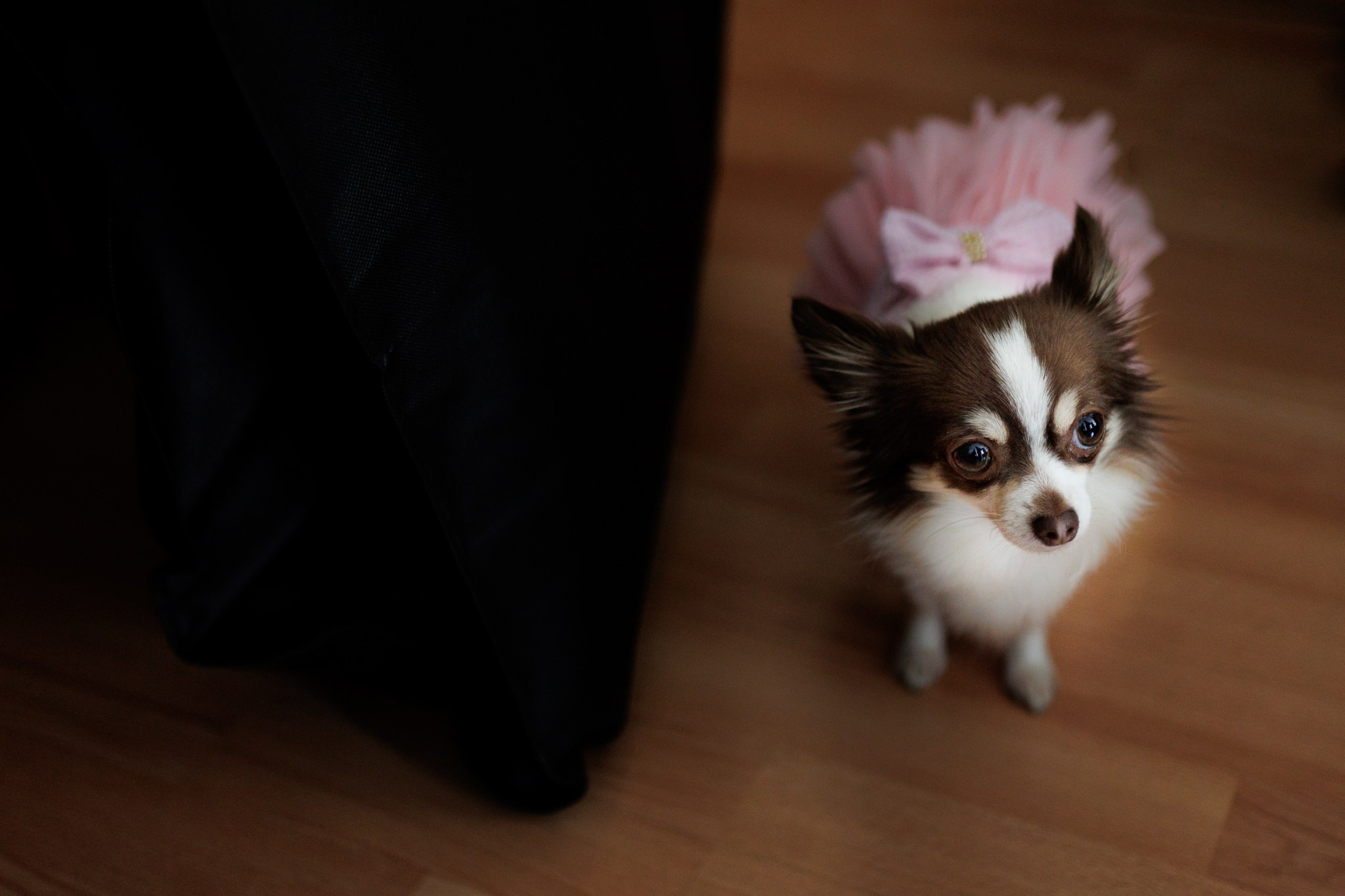 Nunta Ema si Valentin - Manu Ivanciu. Wedding Photographer in Bucharest — Manu Ivanciu