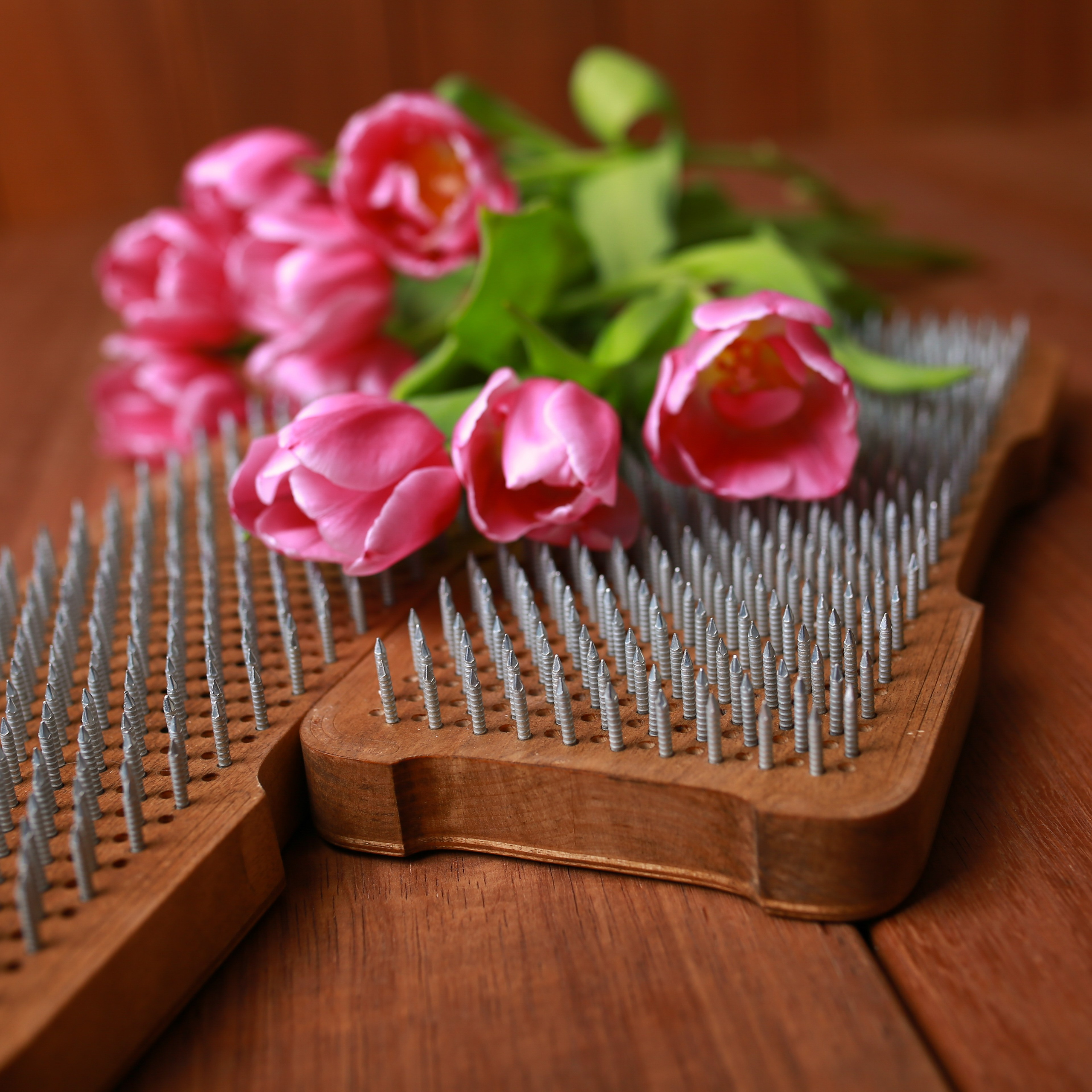 Yoga. Neugeborenen, Familien, Geschwister Fotografin aus Delmenhorst