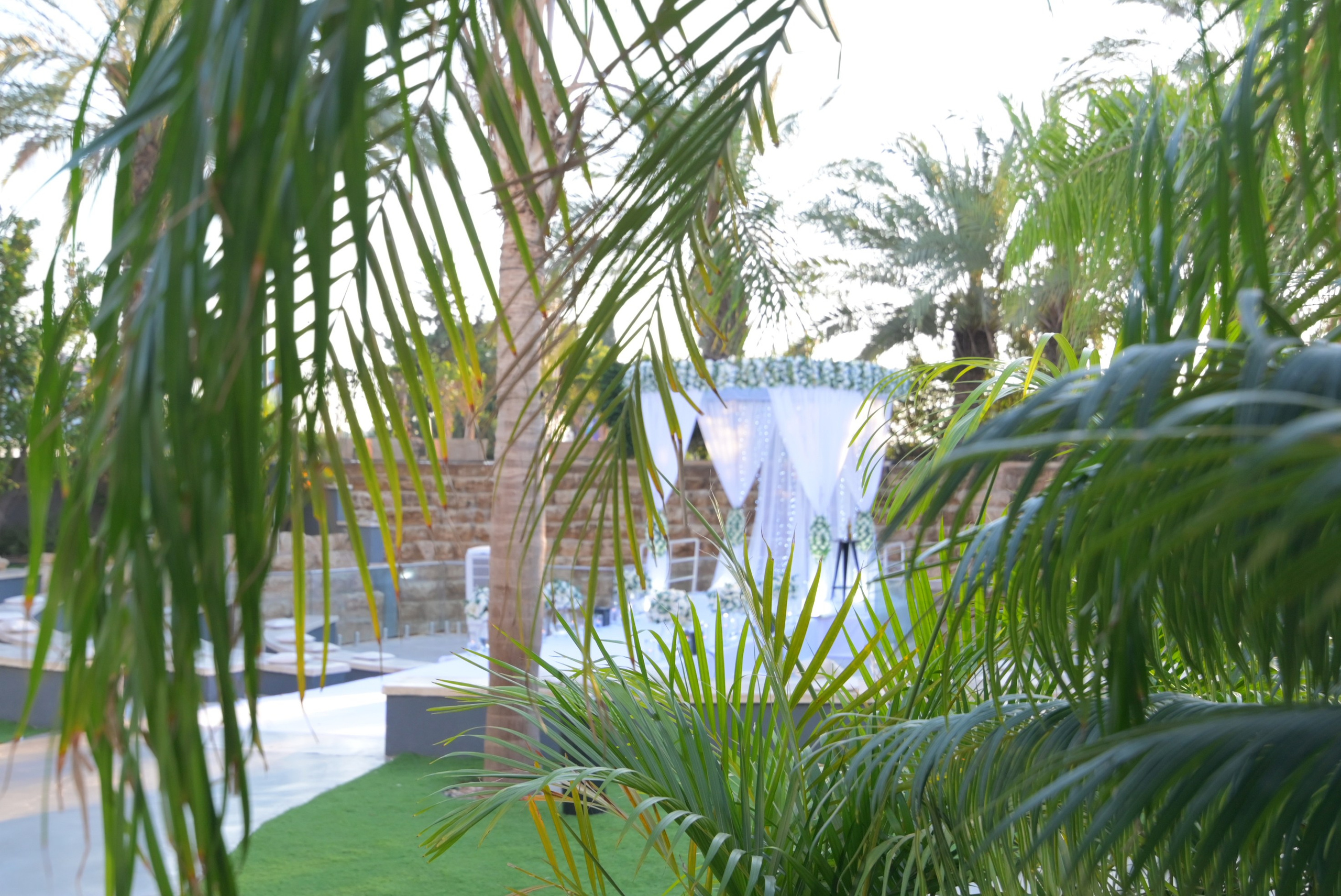 Ronen & Mazal. Wedding and events photographers Studio Shalom