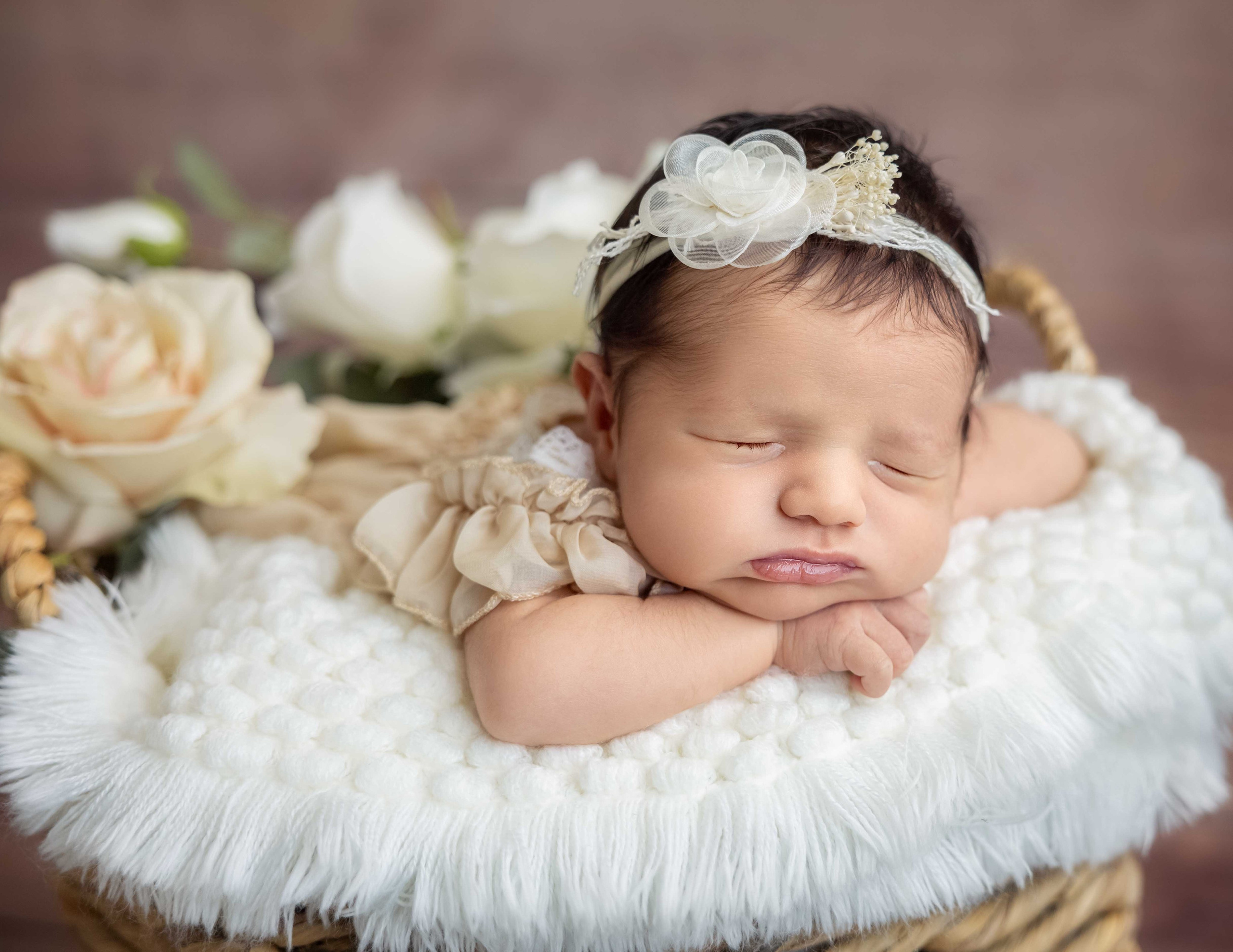 Newborn photos. Newborn photographer in Tampa Bay Area, FL