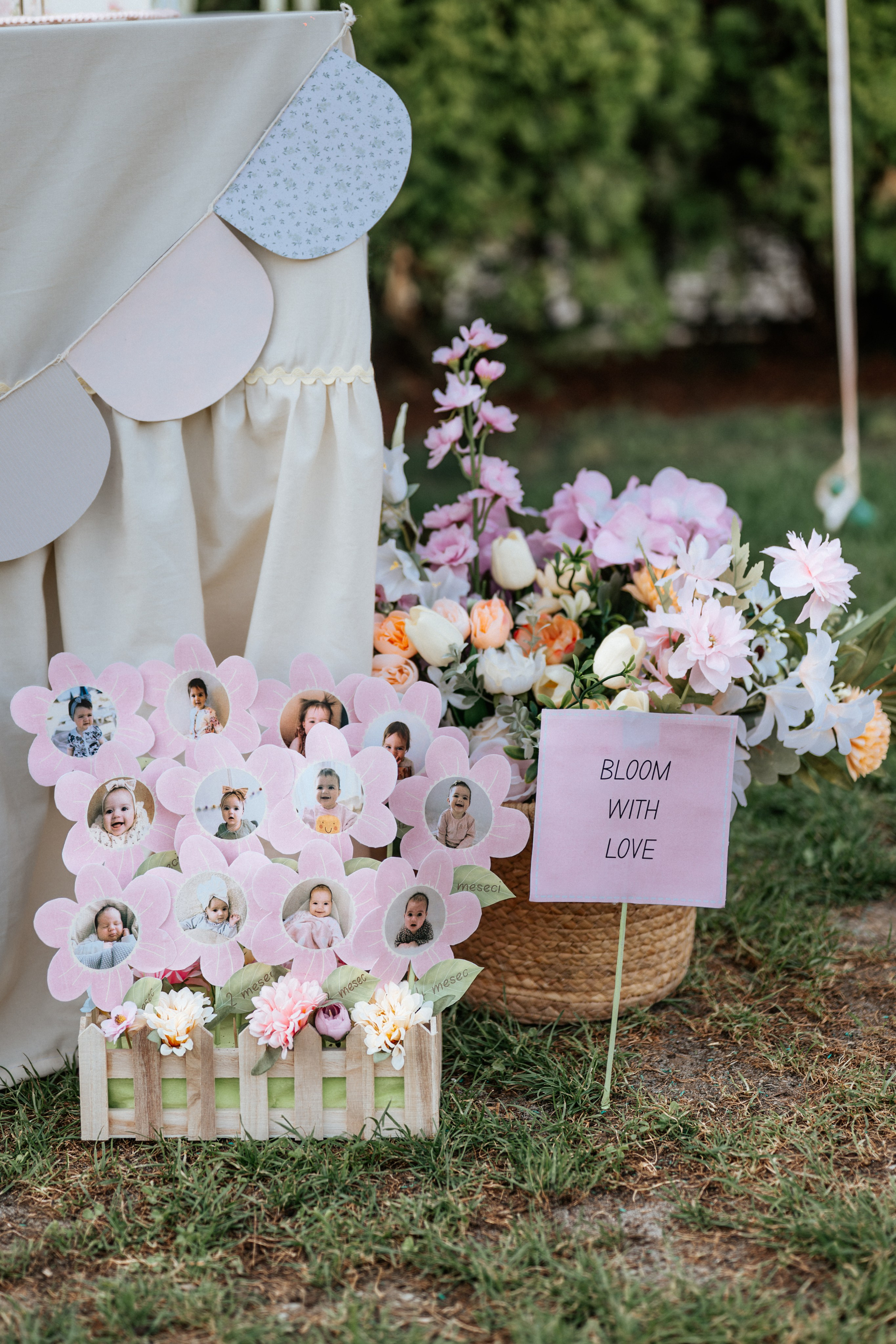 Sofia - 1. rođendan. Dečiji i porodični fotograf