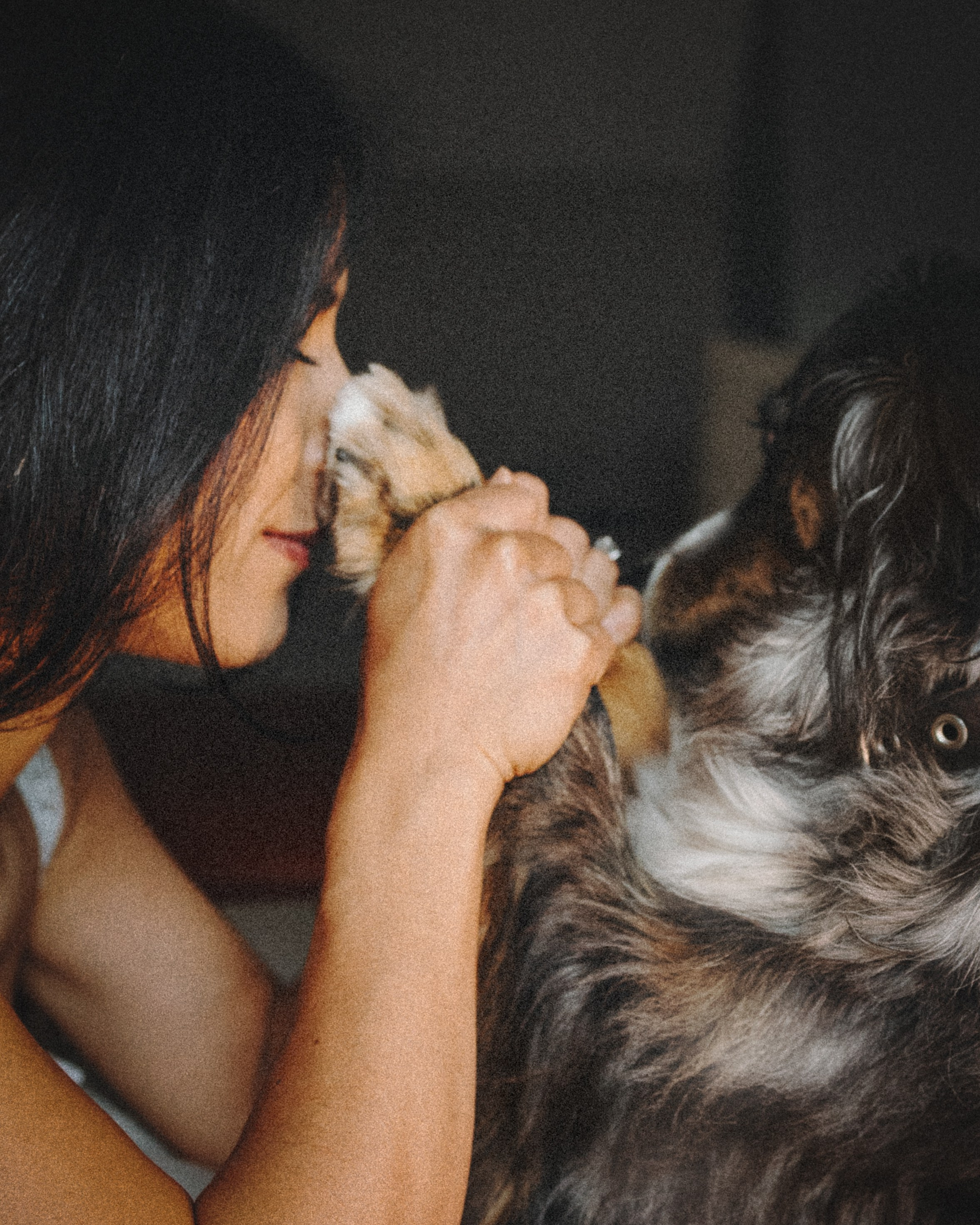 Aspen & Viktoriya. Pet Photographer Viktoriya Aleshenko