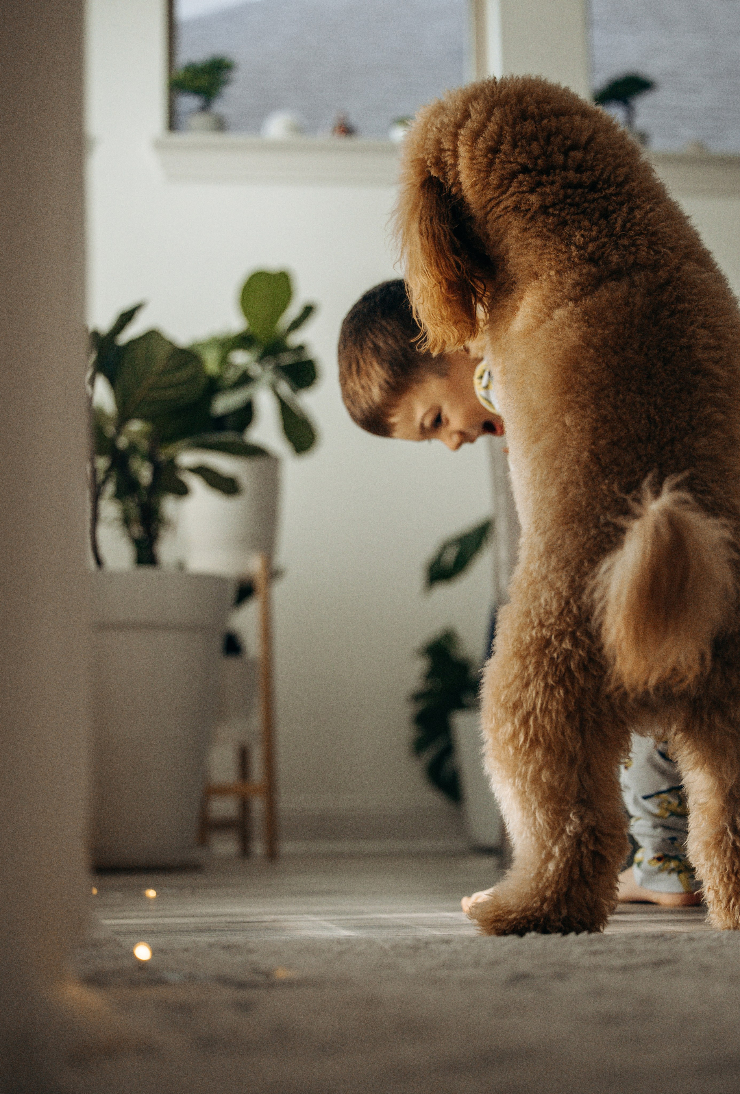 Richie & his Family. Pet Photographer Viktoriya Aleshenko
