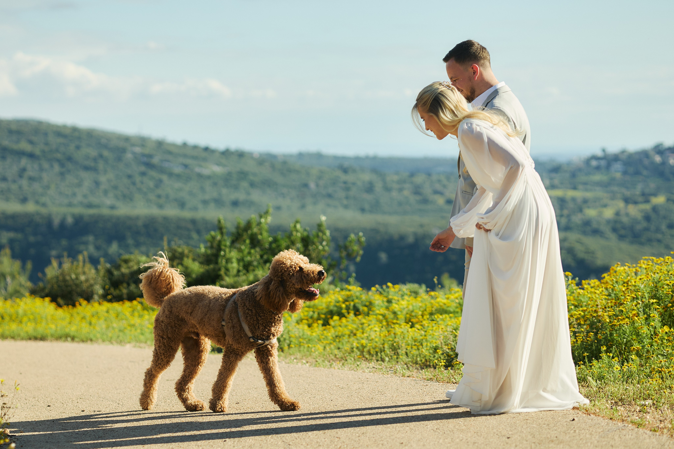 Weddings. Sergey Kalinkin Photography