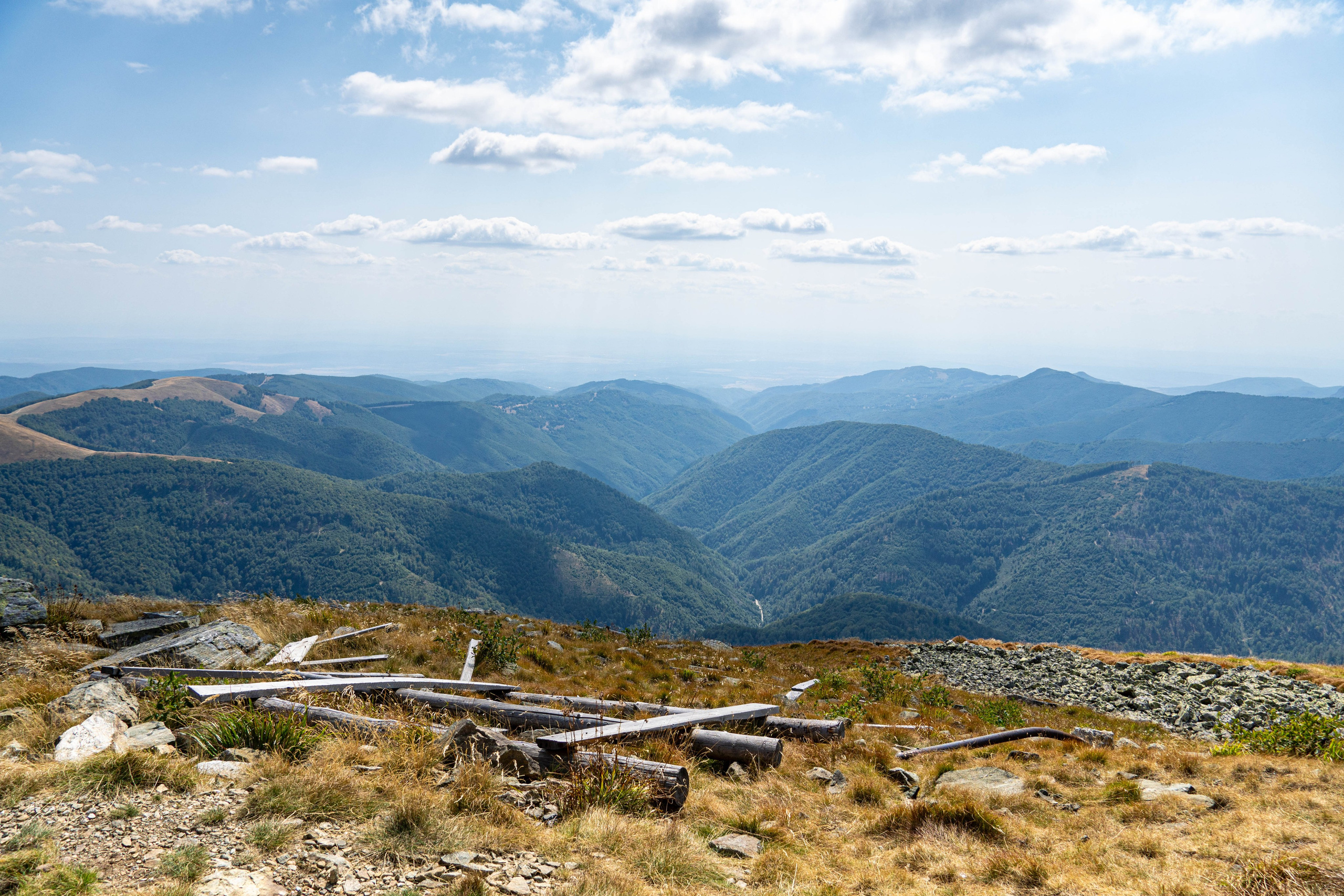 Nature. Alecsandru Braicu — Sports Photographer