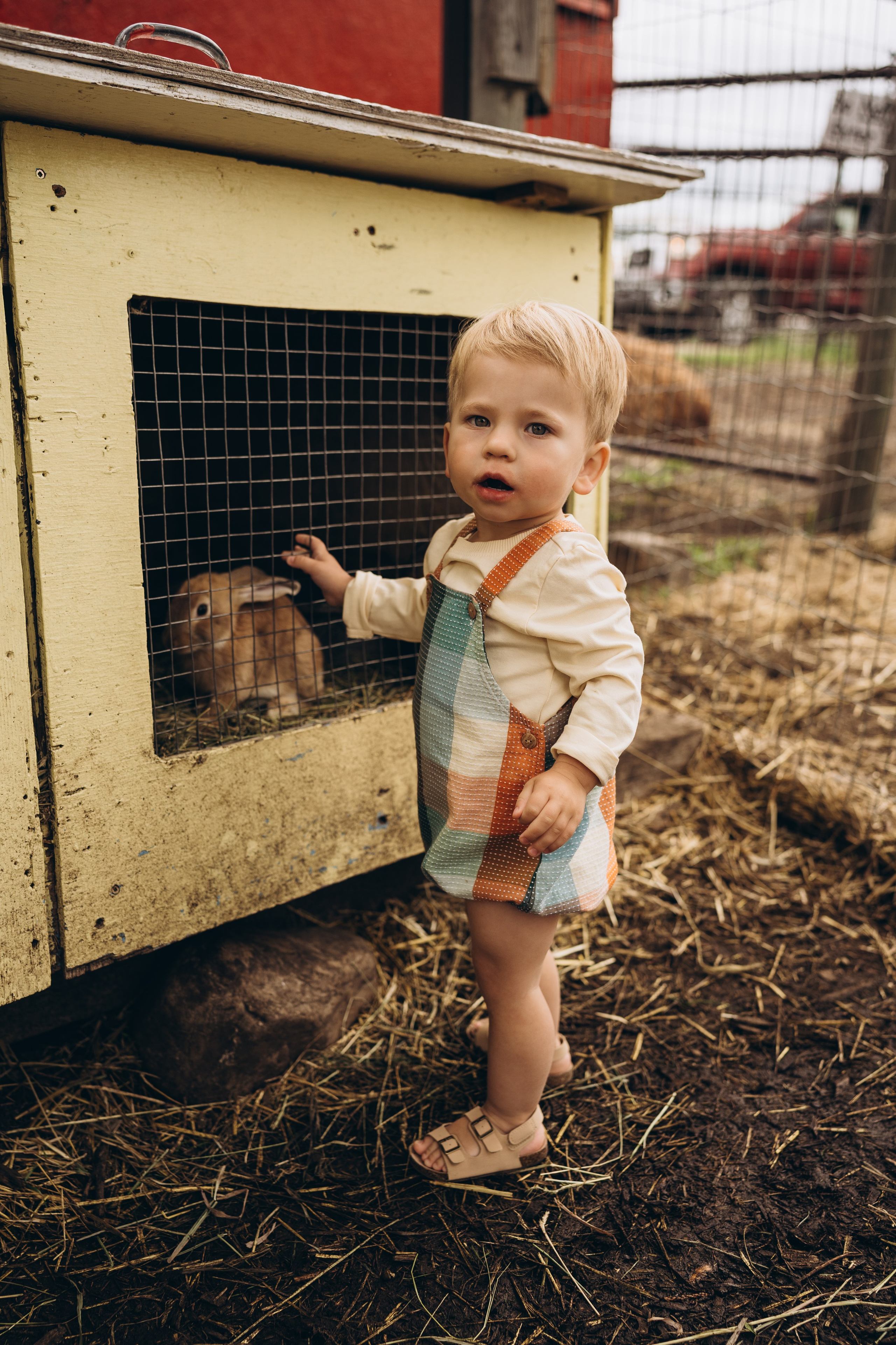 Lev. Calgary Wedding & Lifestyle Photographer — Yevhen Polishchuk