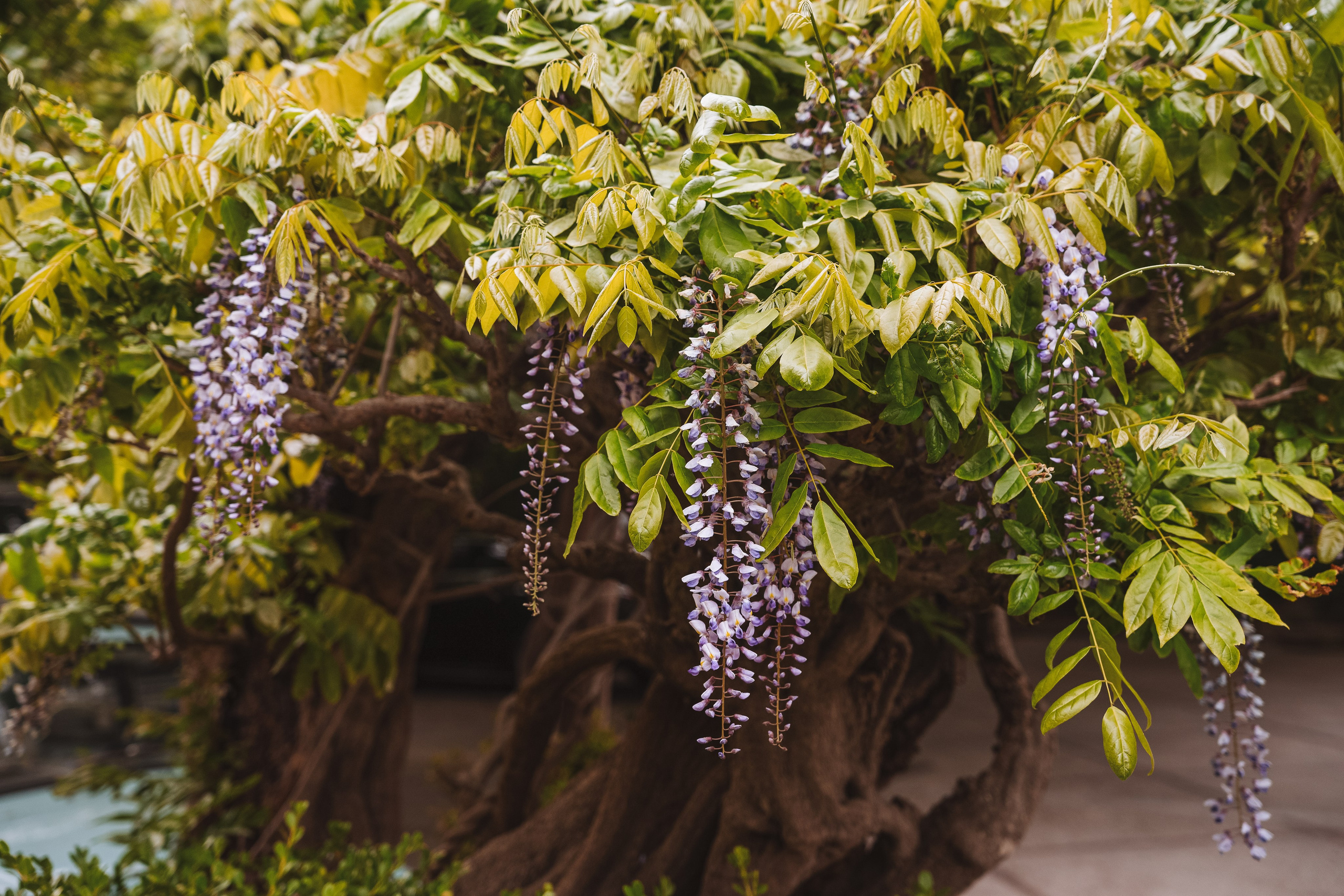 Grand Hotel Cocumella. Hotel and travel photographer
