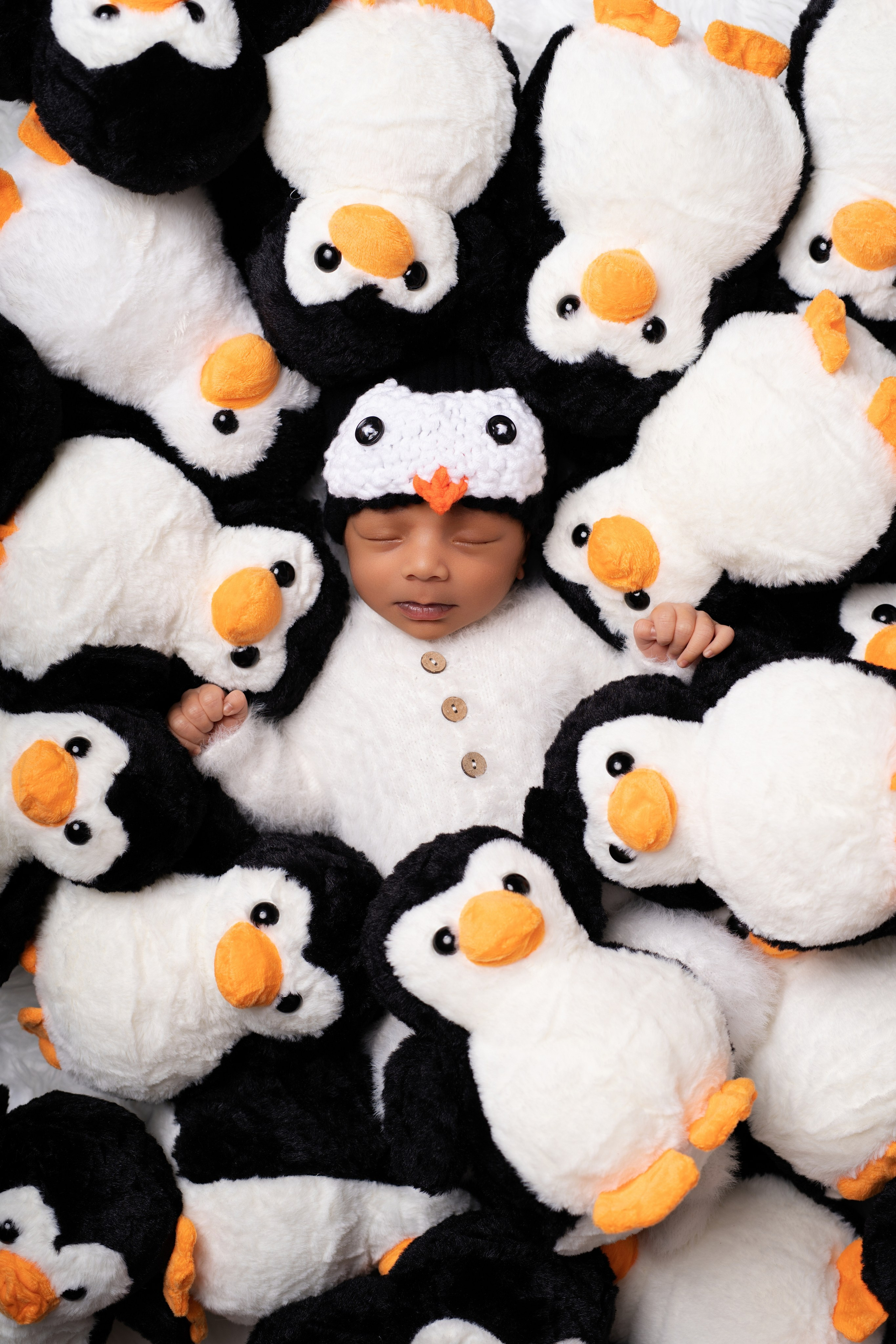 Newborn Photography — Capturing Your Baby’s First Precious Moments. Julia Bolgov Photography | Newborn, Family, Maternity & Milestone Photographer in Bay Area, CA