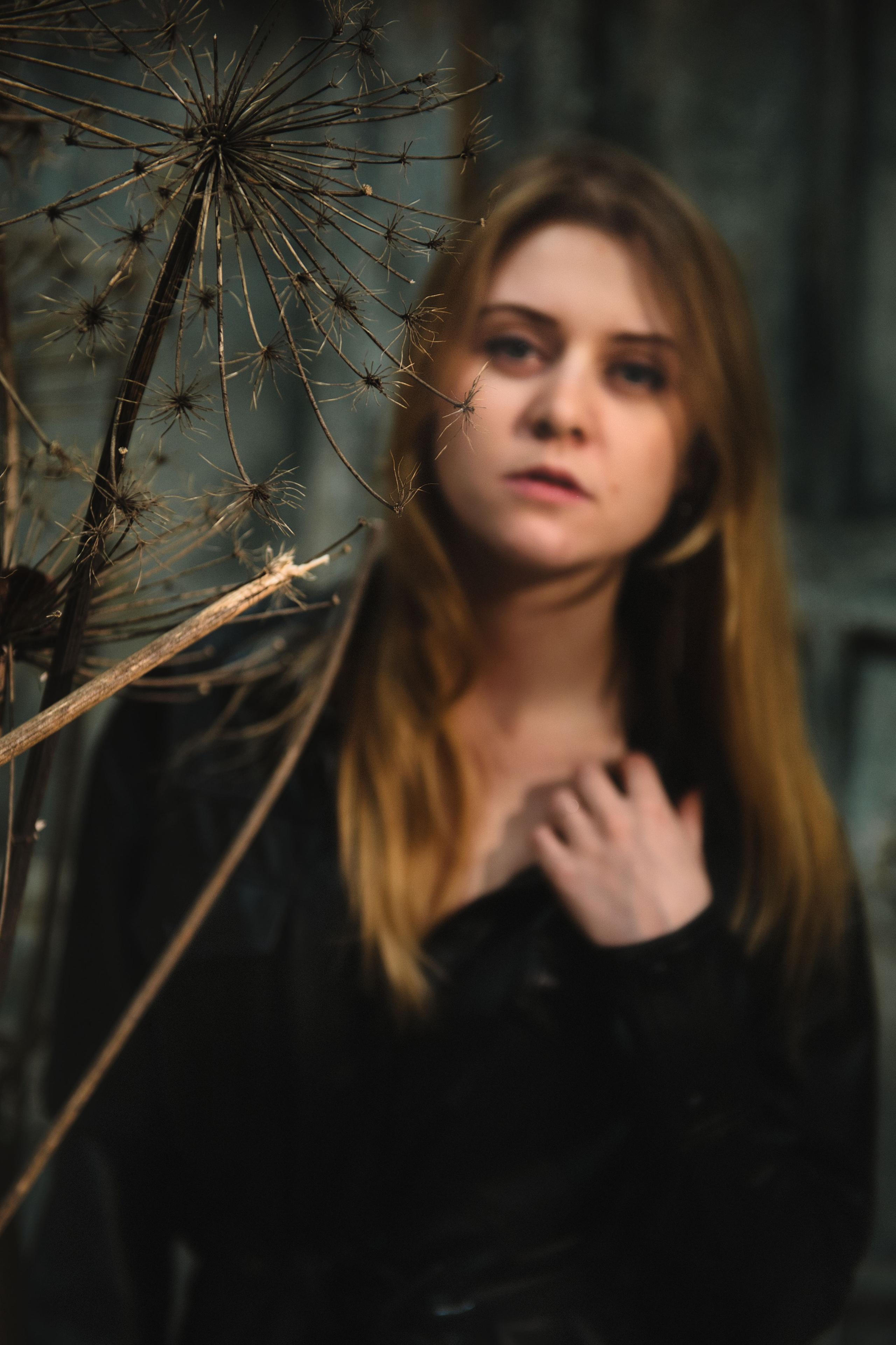 Anastasiia