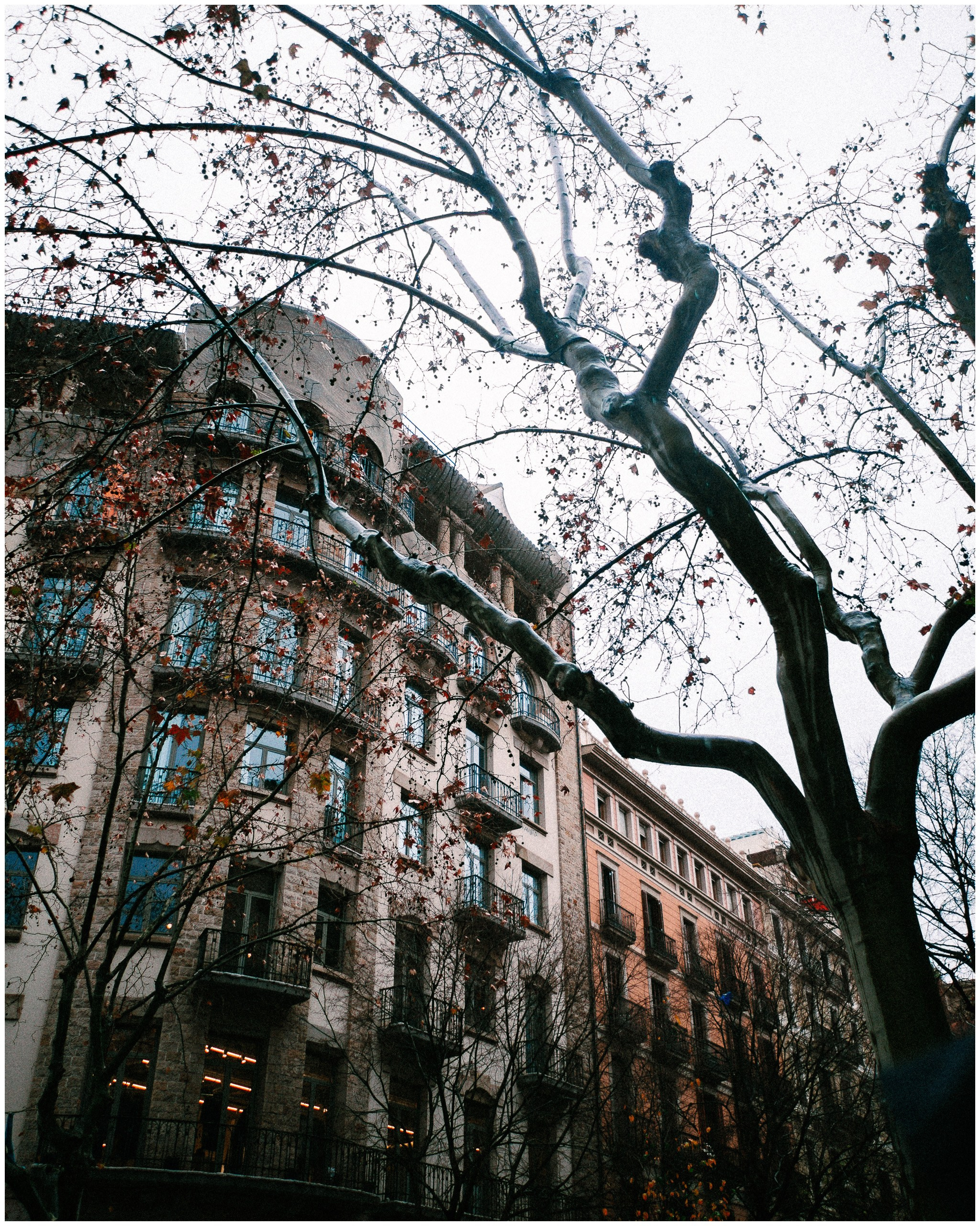 BARCELONA. Inna Mendelson — Photographer