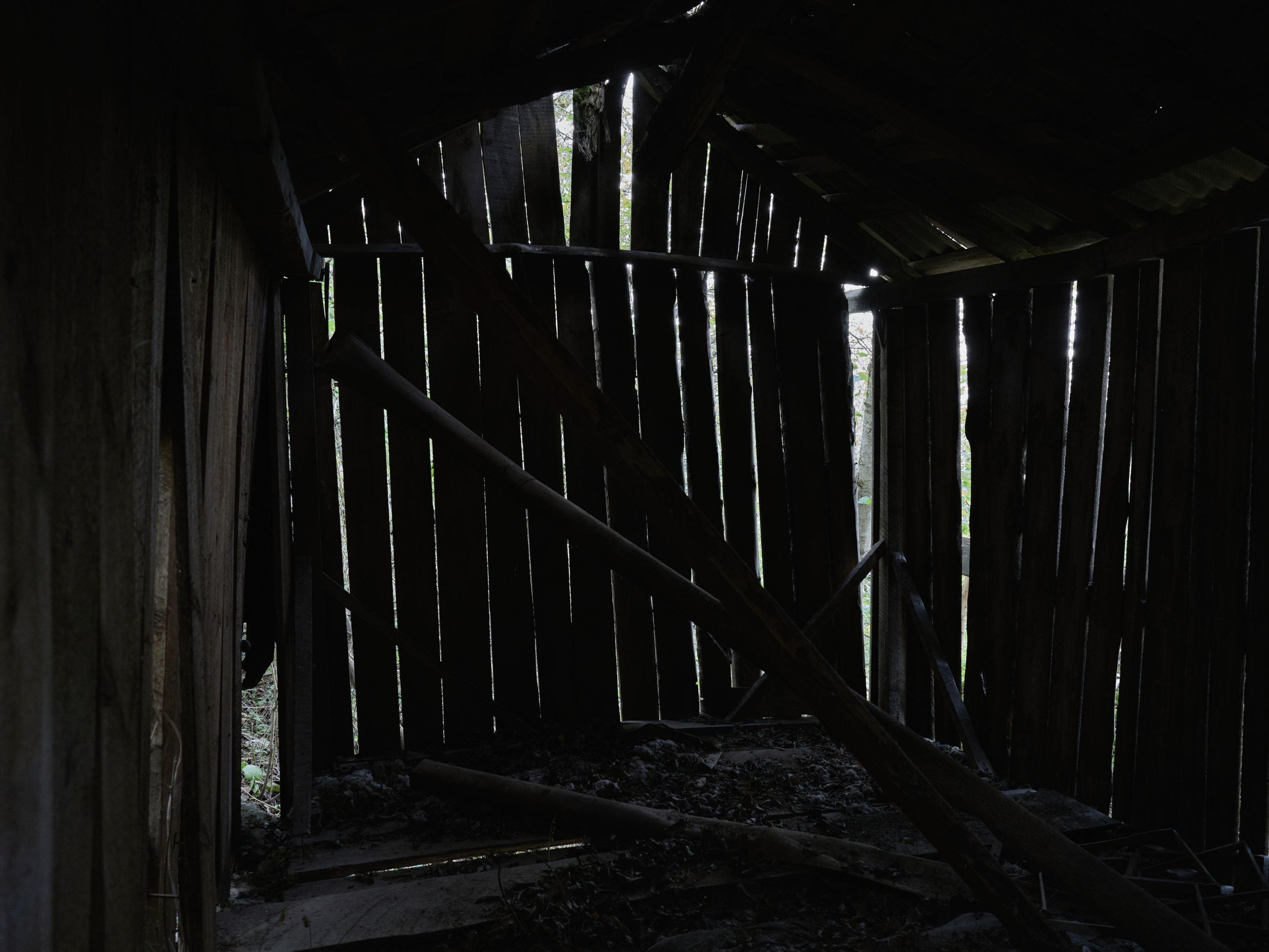 Scars of Shukruti. Egor Borie