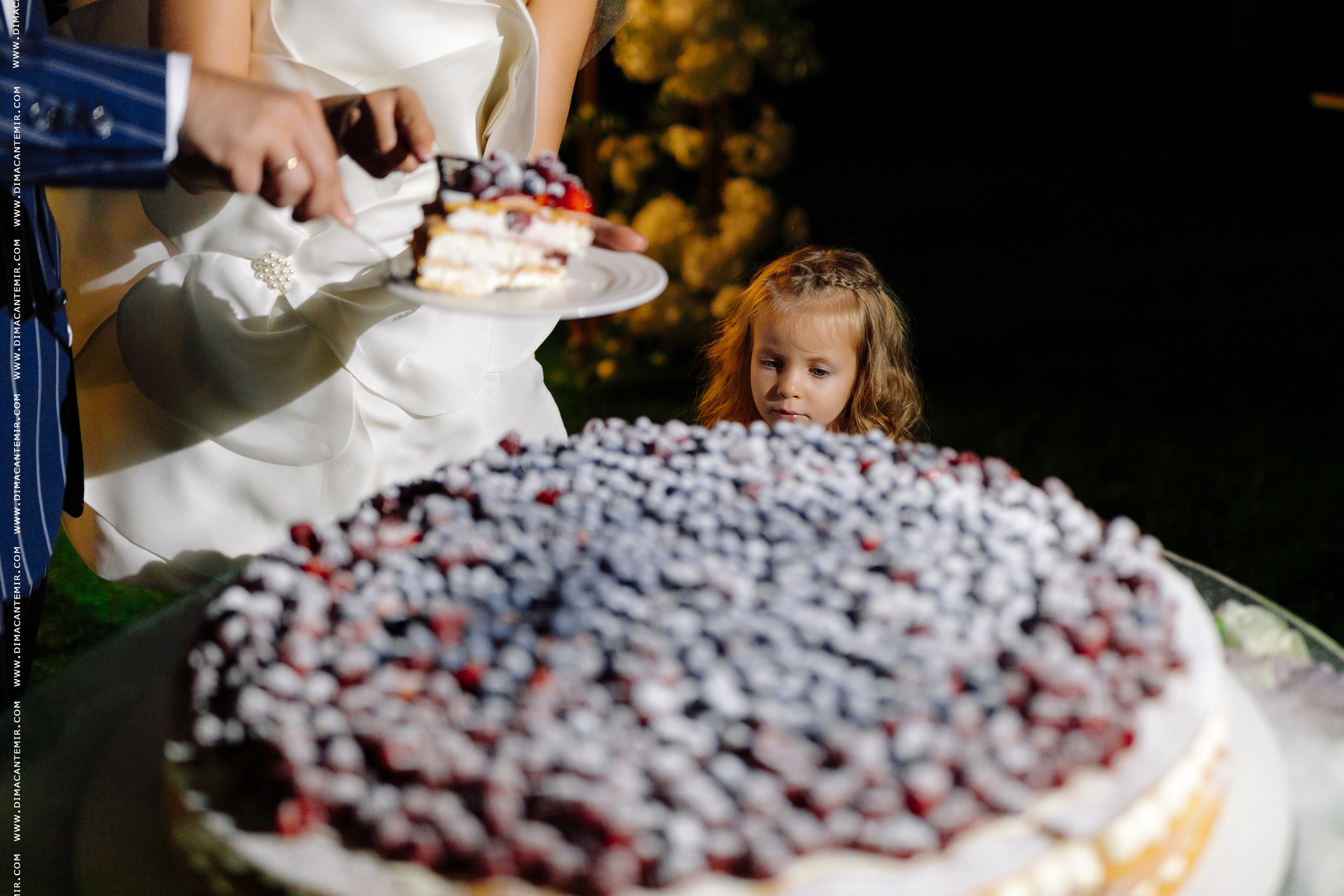 ROMAN + DANA. Свадебный фотограф Молдова Кишинёв